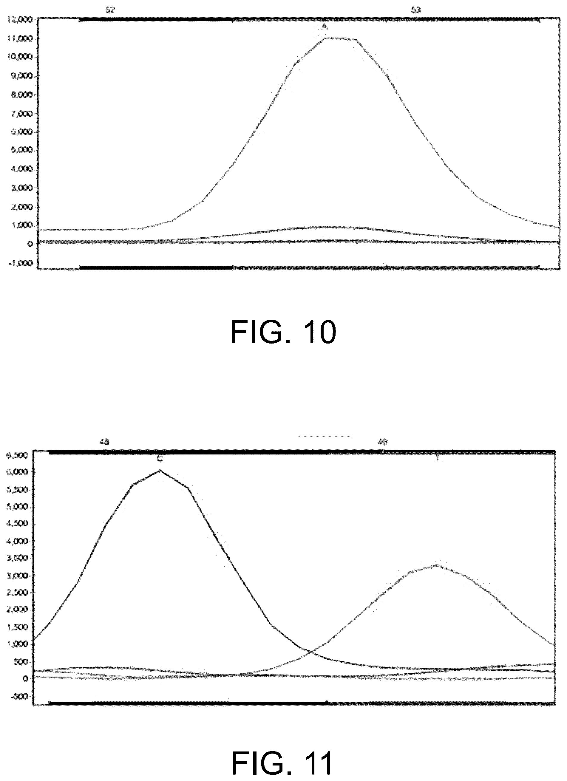 Patent US12410465 Figure 9 – Molecular marker combination linked to quantitative traits of tea plant caffeine content