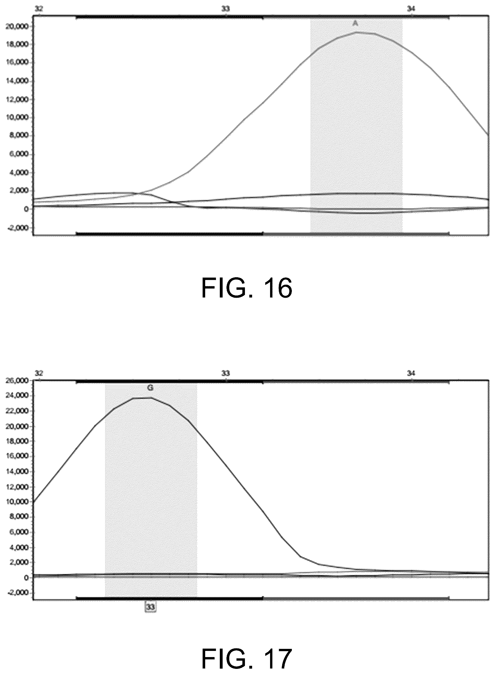 Patent US12410465 Figure 12 – Molecular marker combination linked to quantitative traits of tea plant caffeine content