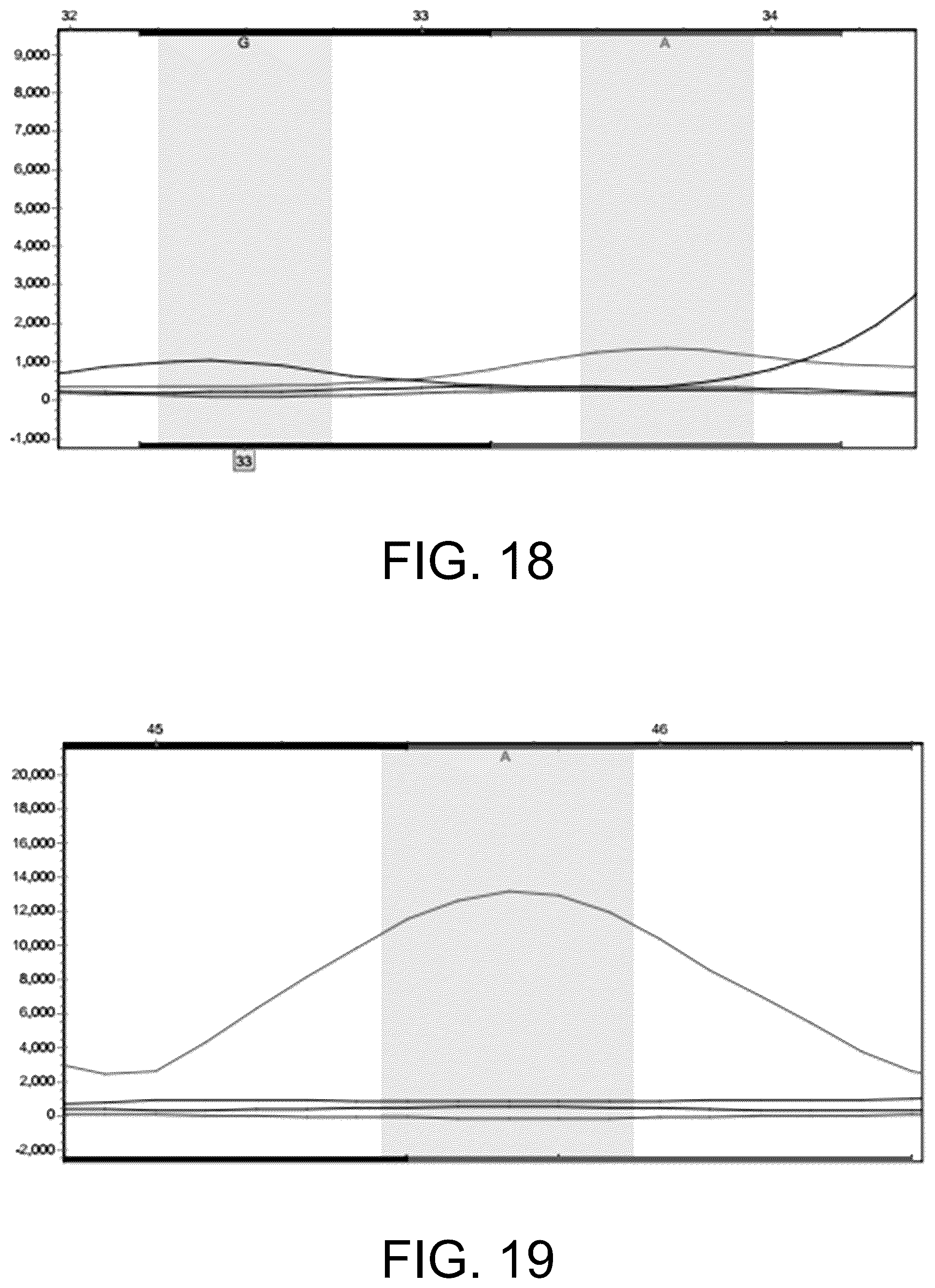 Patent US12410465 Figure 13 – Molecular marker combination linked to quantitative traits of tea plant caffeine content