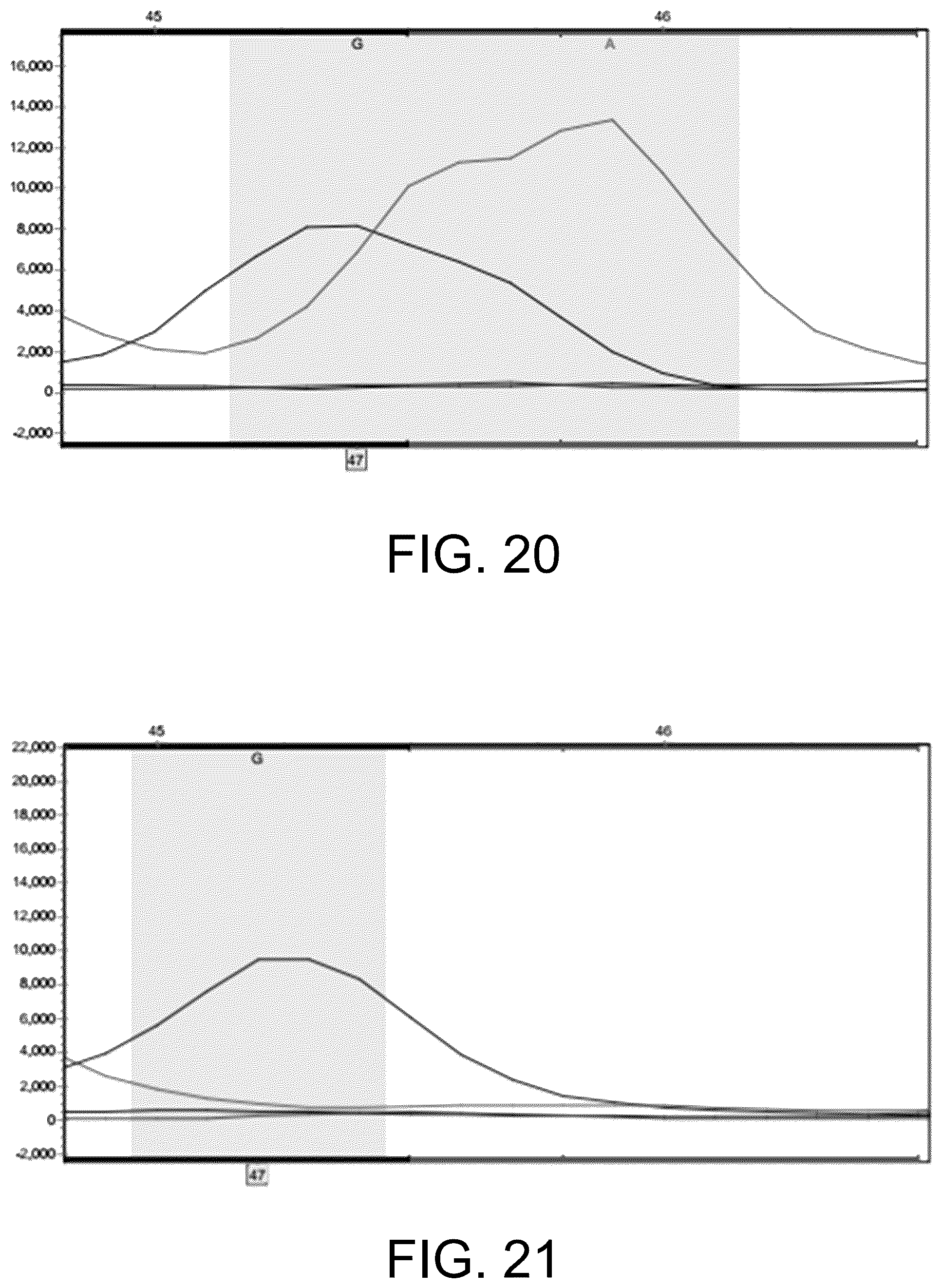 Patent US12410465 Figure 14 – Molecular marker combination linked to quantitative traits of tea plant caffeine content