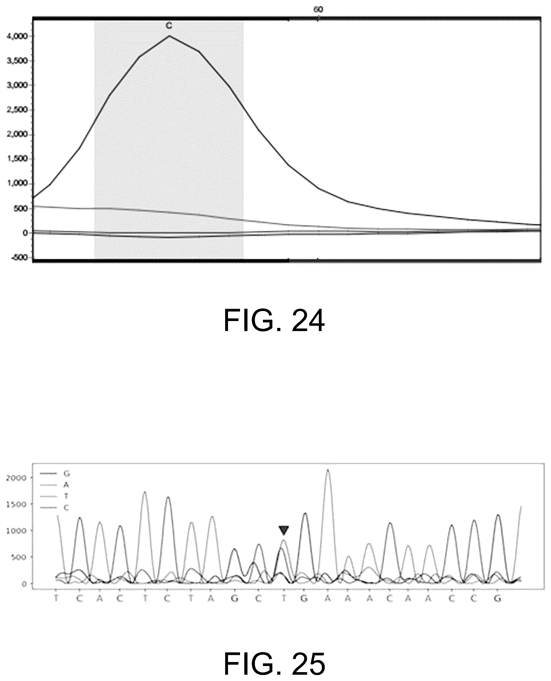 Patent US12410465 Figure 16 – Molecular marker combination linked to quantitative traits of tea plant caffeine content