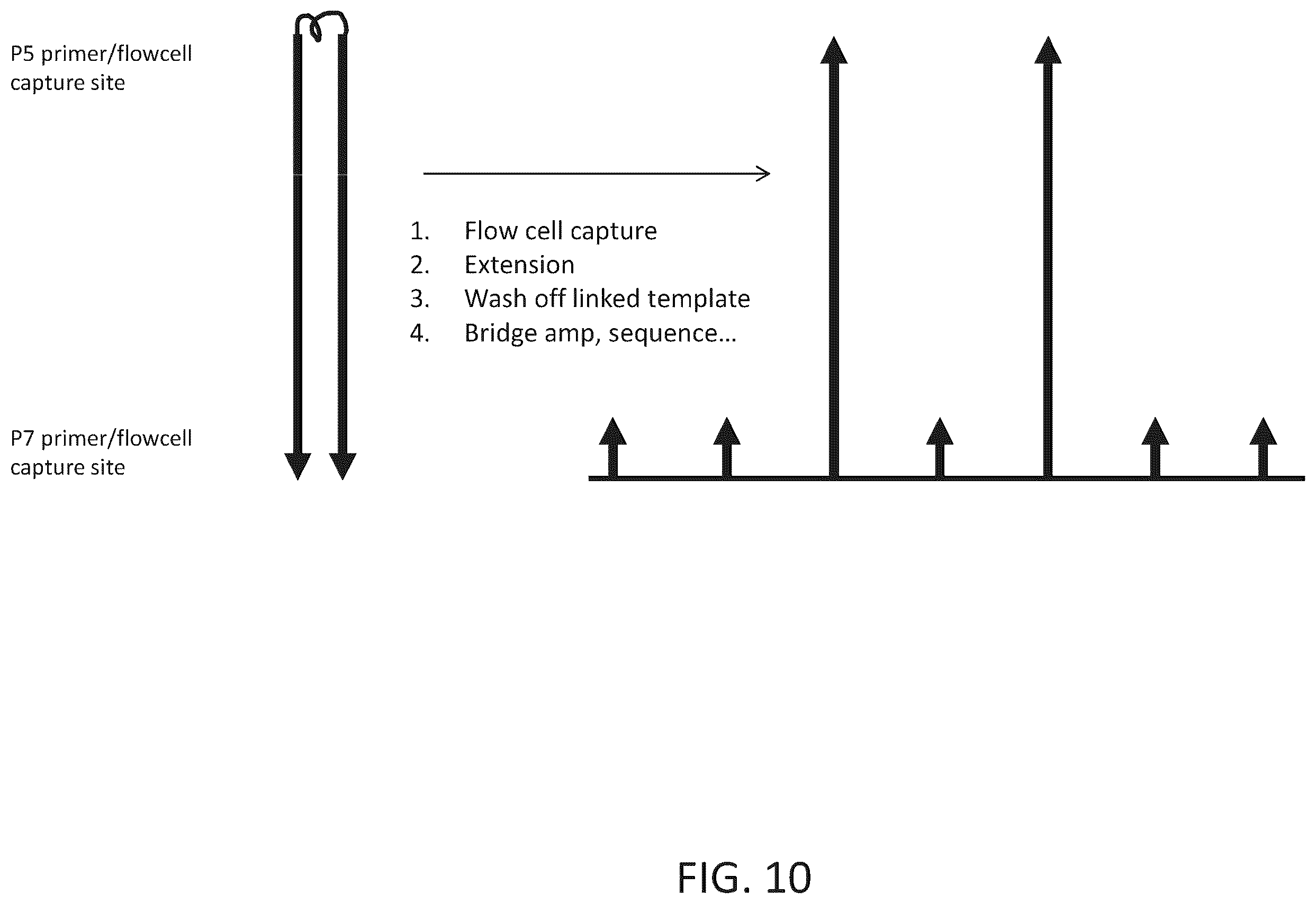 Patent US12410466 Figure 13 – Linked ligation
