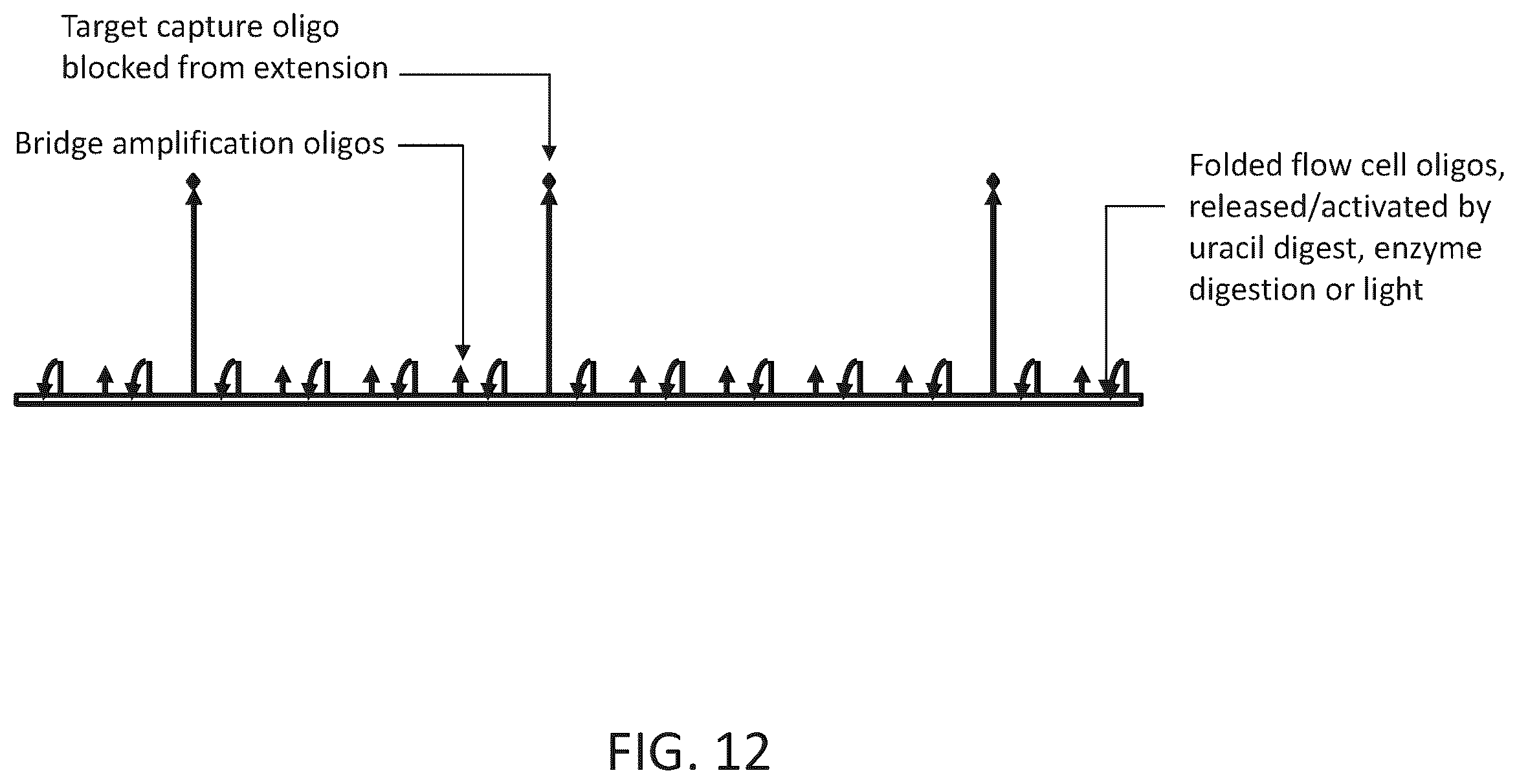 Patent US12410466 Figure 15 – Linked ligation