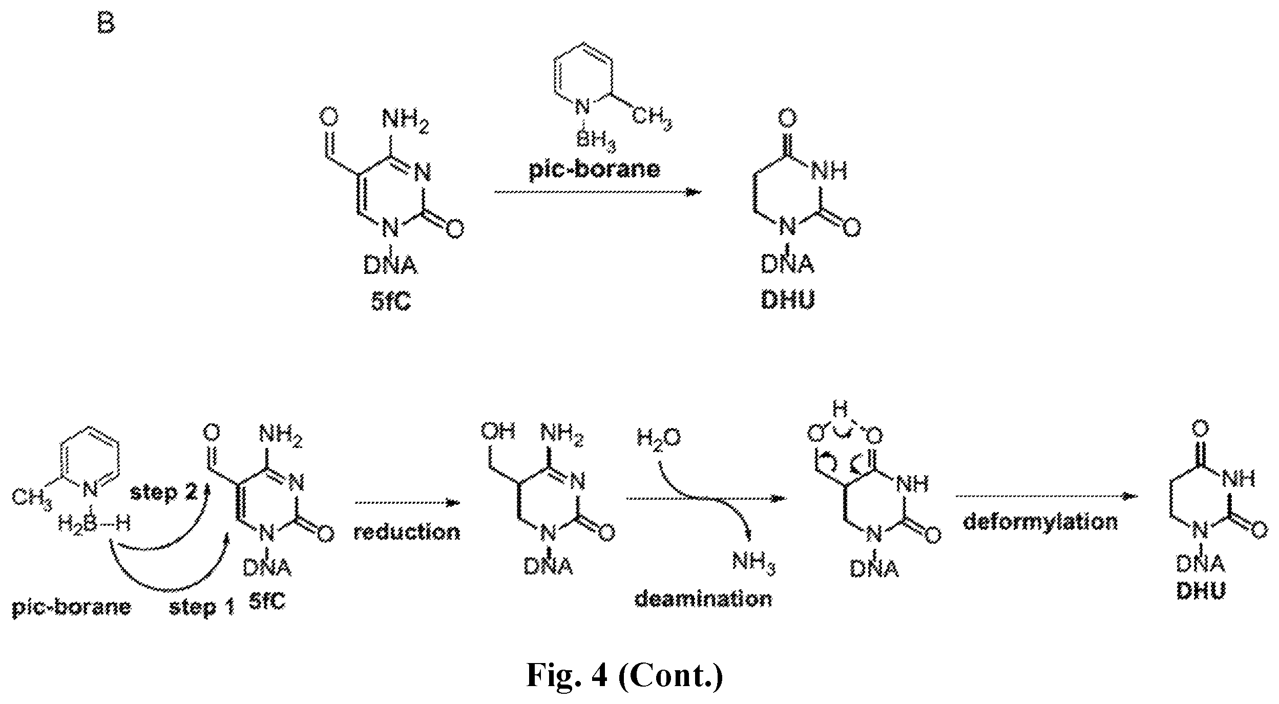 Patent US12410467 Figure 6 – Bisulfite-free, whole genome methylation analysis
