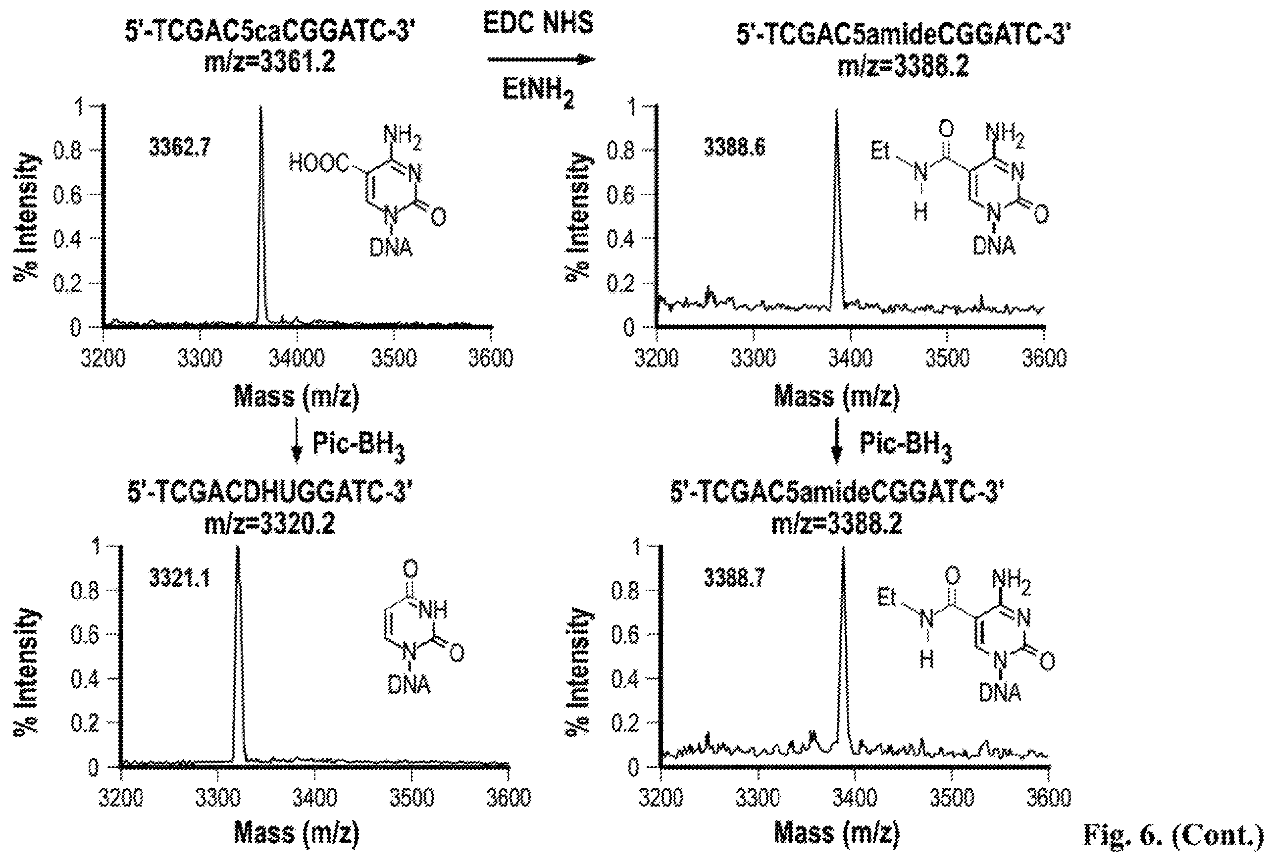 Patent US12410467 Figure 9 – Bisulfite-free, whole genome methylation analysis