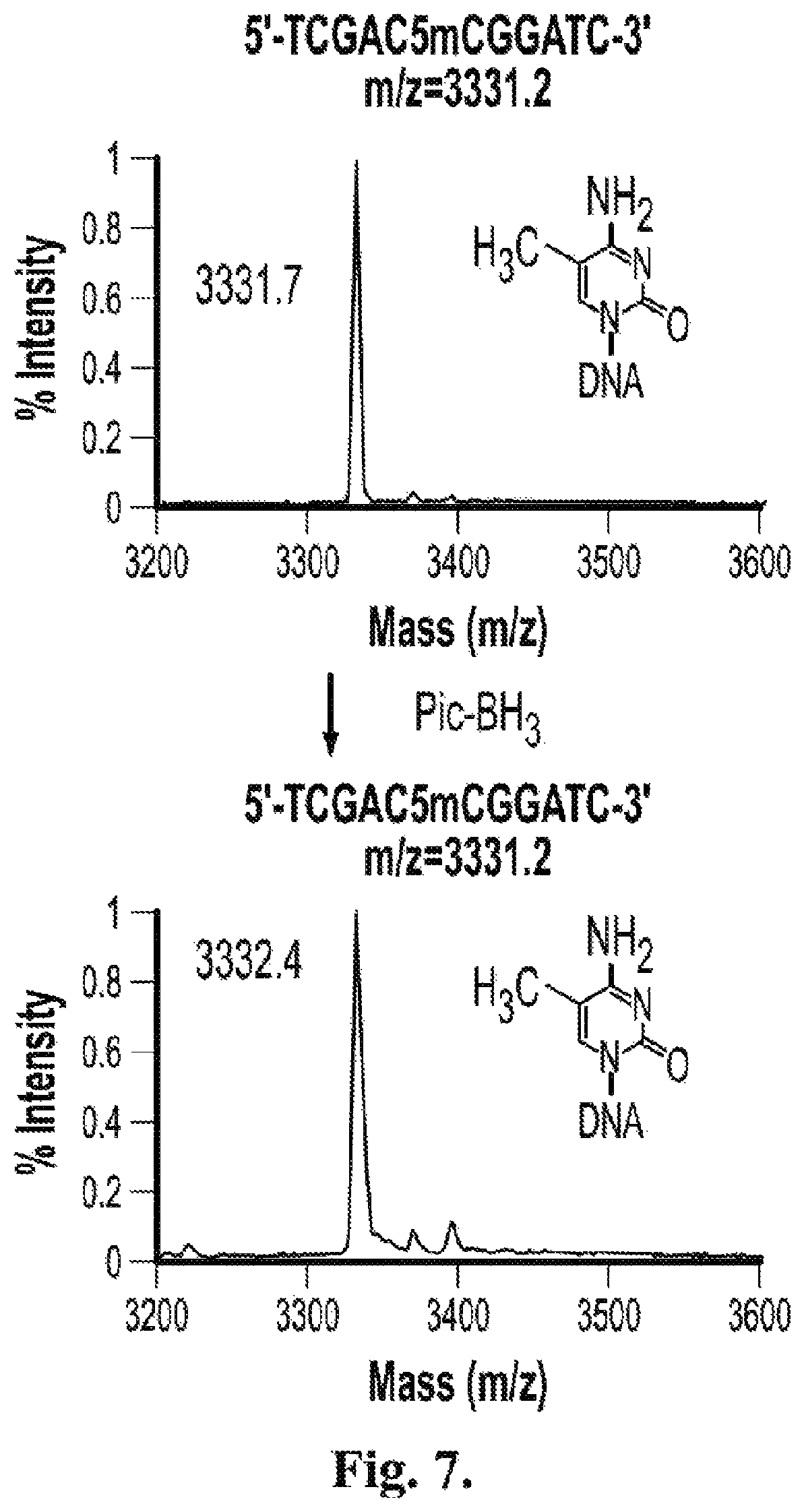 Patent US12410467 Figure 10 – Bisulfite-free, whole genome methylation analysis