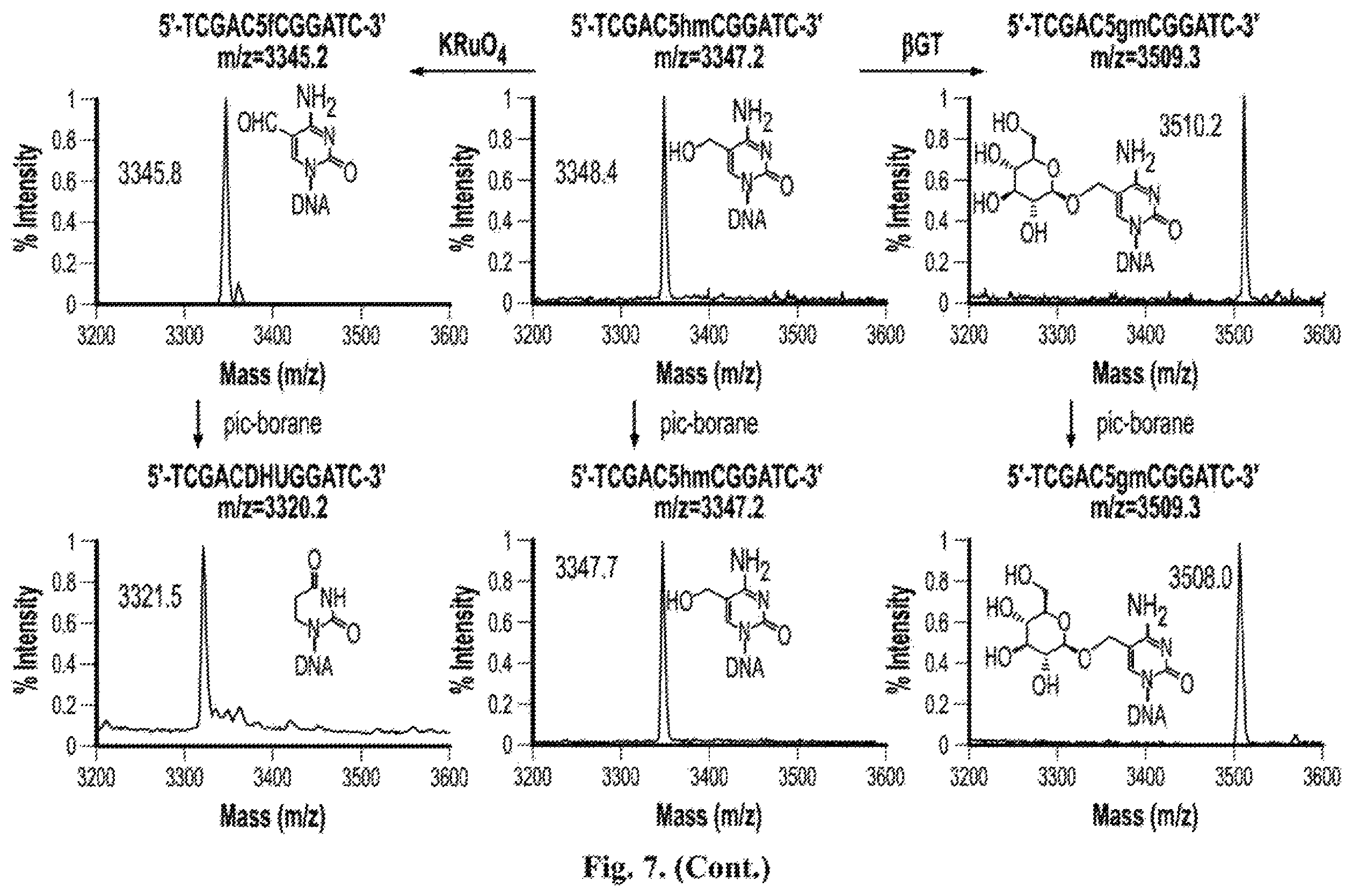 Patent US12410467 Figure 11 – Bisulfite-free, whole genome methylation analysis
