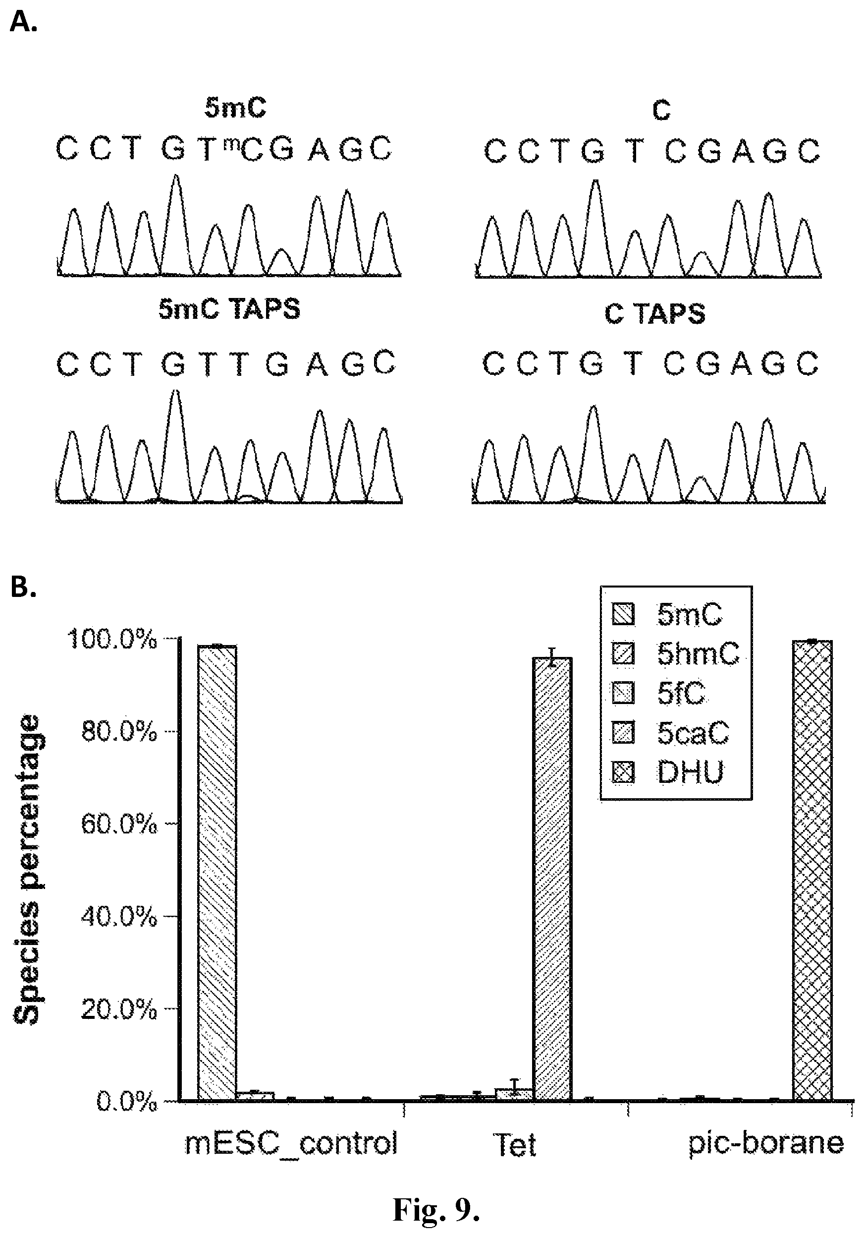 Patent US12410467 Figure 13 – Bisulfite-free, whole genome methylation analysis