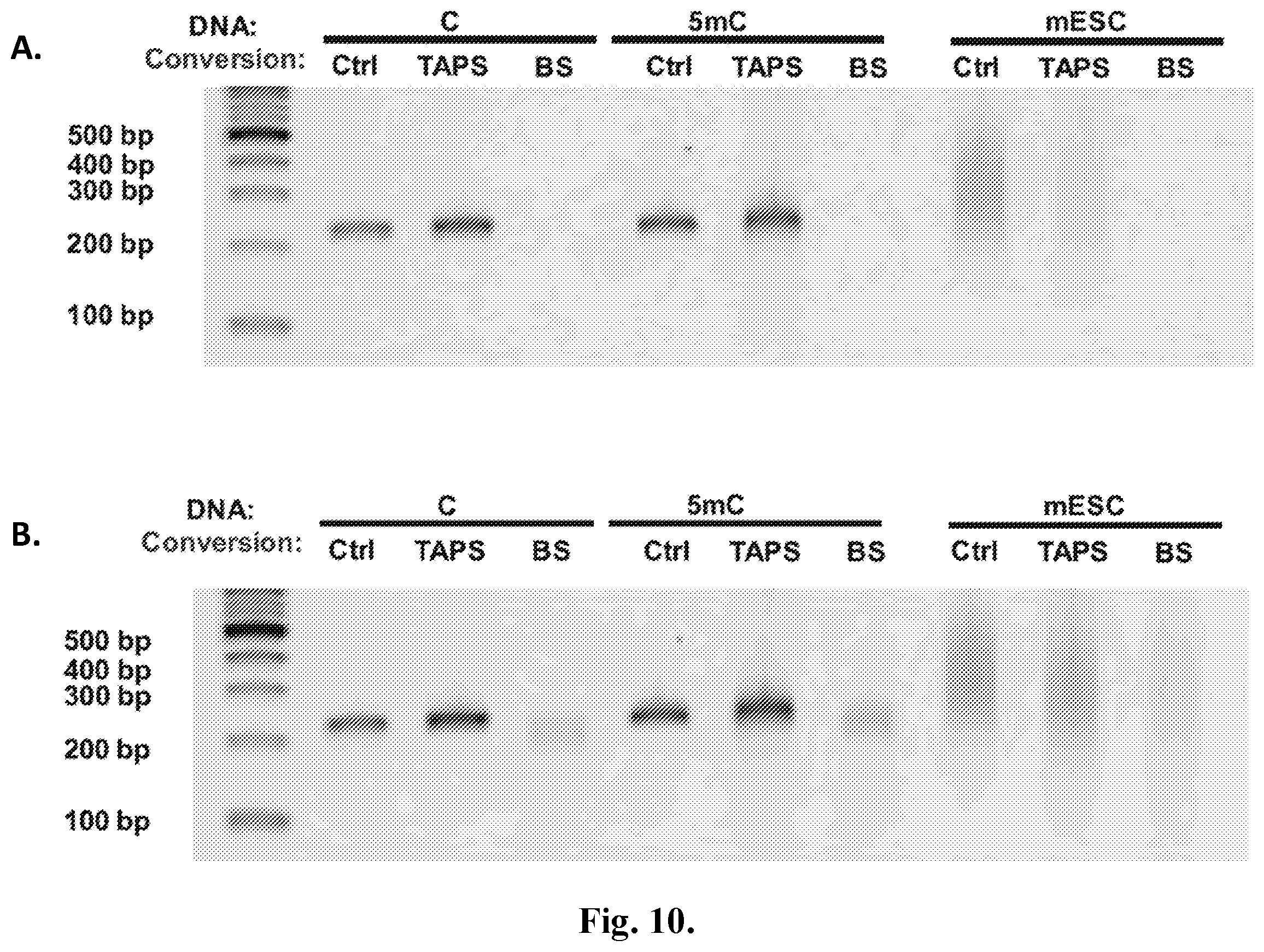 Patent US12410467 Figure 14 – Bisulfite-free, whole genome methylation analysis