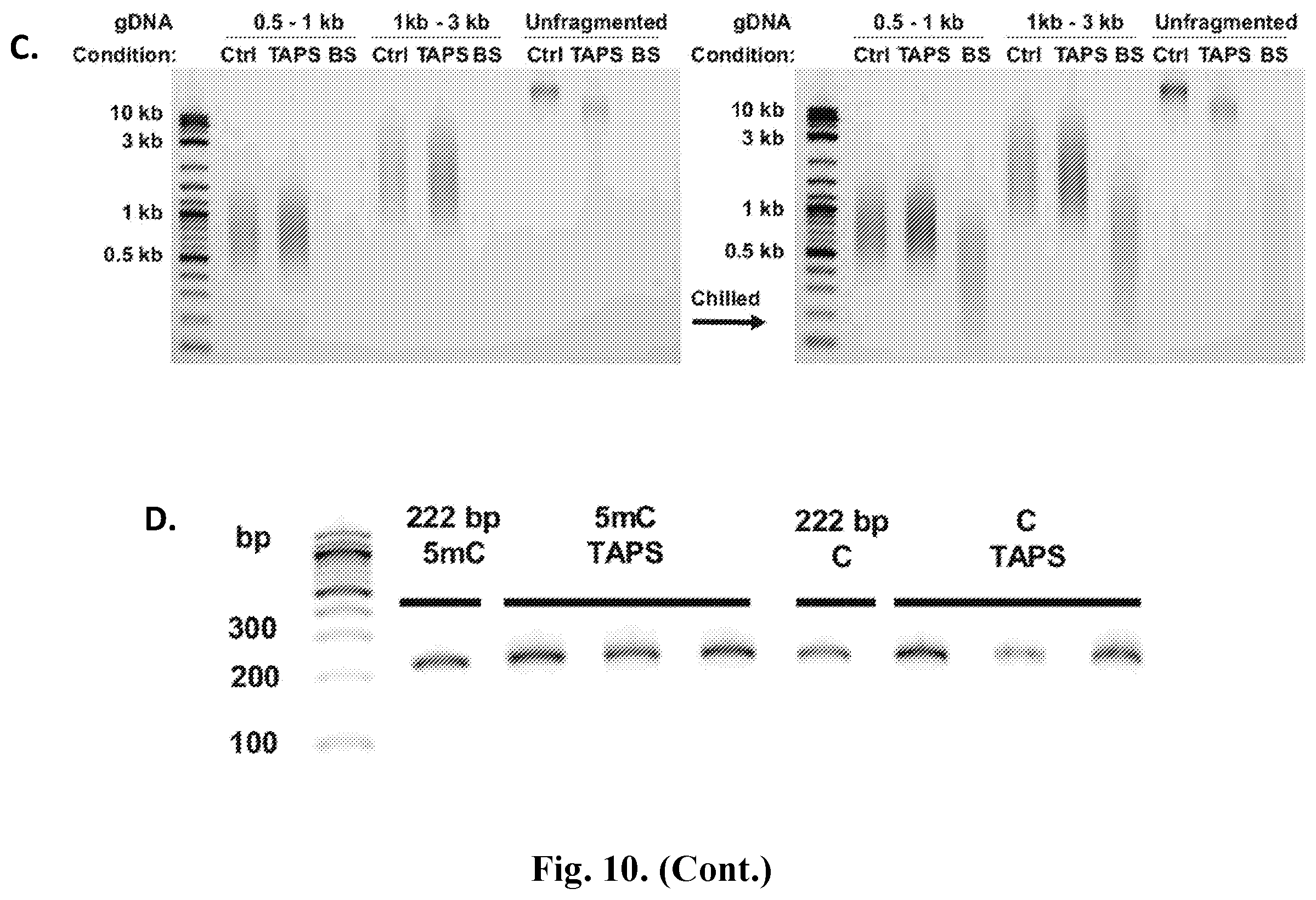 Patent US12410467 Figure 15 – Bisulfite-free, whole genome methylation analysis