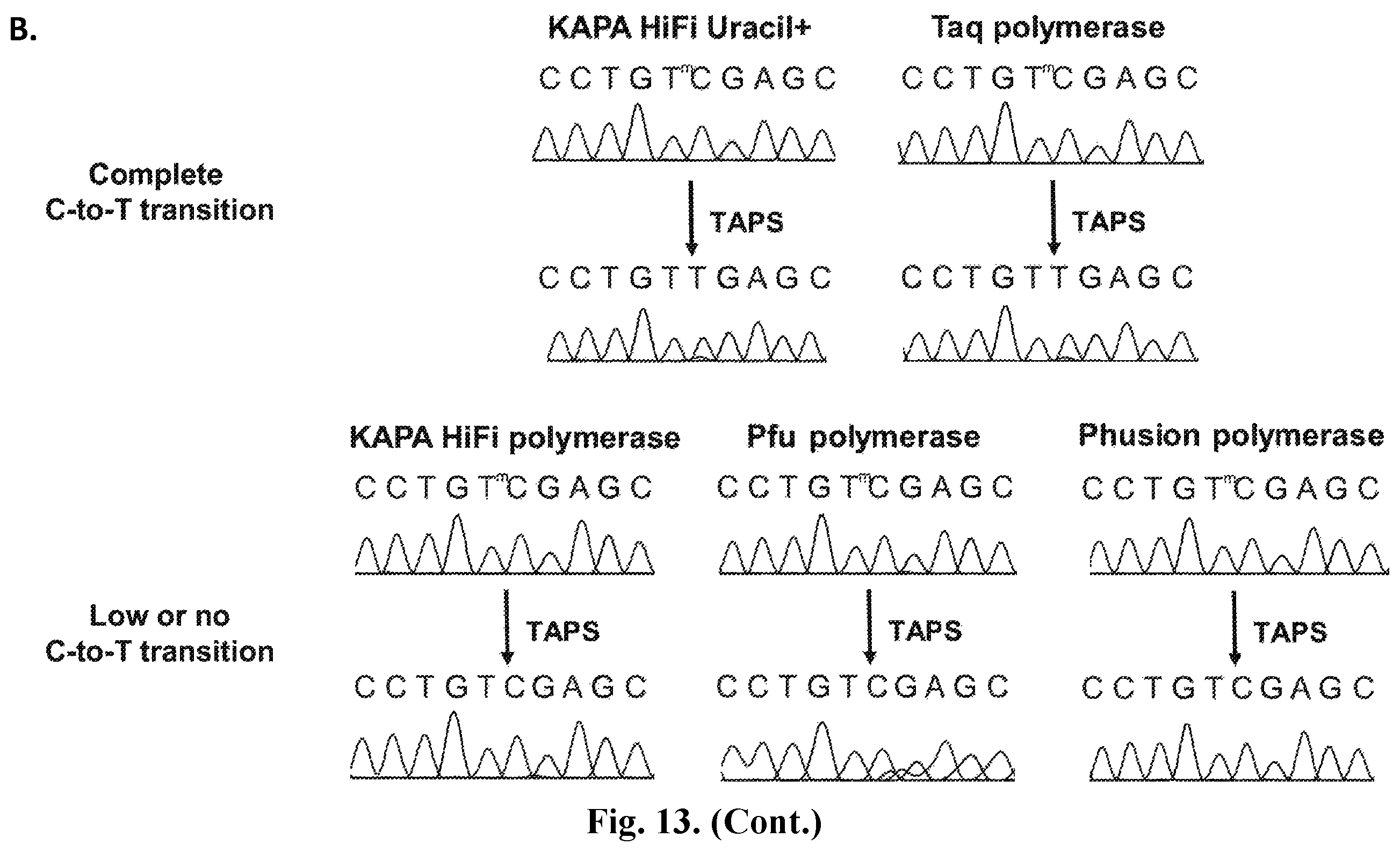Patent US12410467 Figure 19 – Bisulfite-free, whole genome methylation analysis