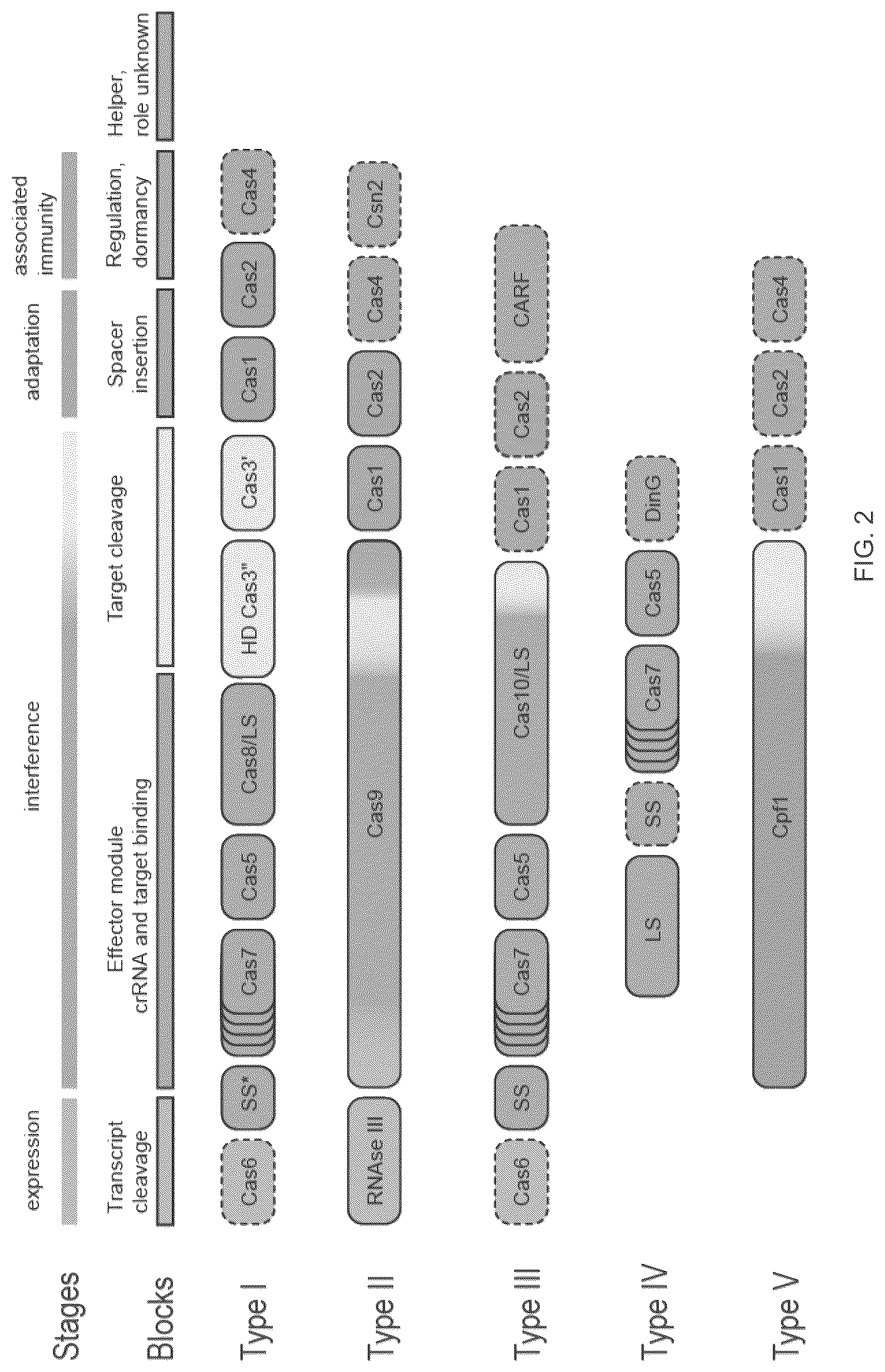 Patent US12410468 Figure 3 – CRISPR enzymes and systems