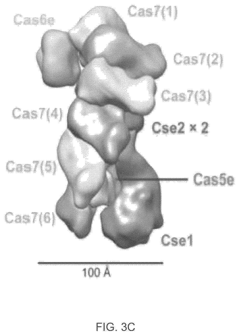 Patent US12410468 Figure 5 – CRISPR enzymes and systems