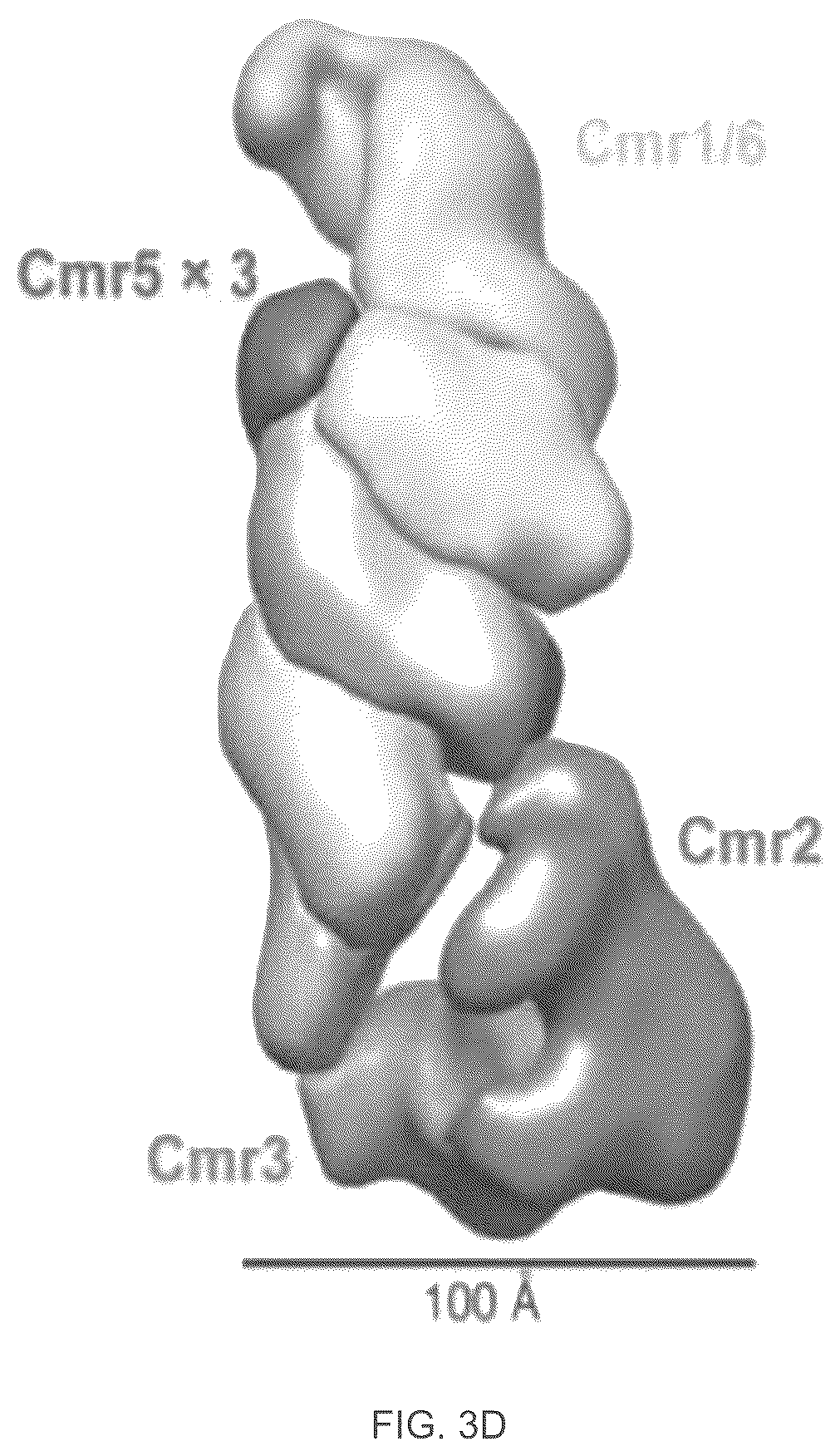 Patent US12410468 Figure 6 – CRISPR enzymes and systems