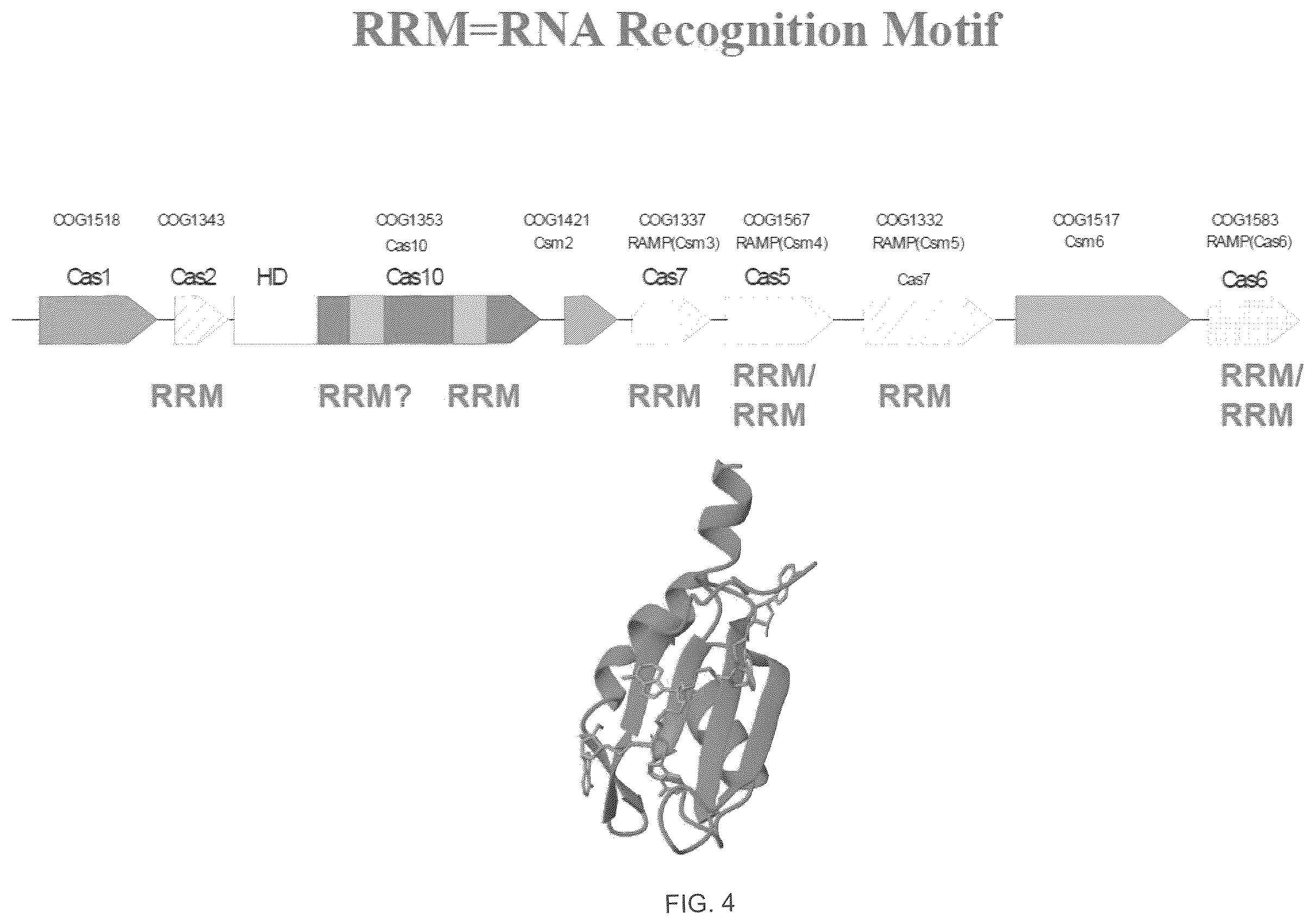 Patent US12410468 Figure 7 – CRISPR enzymes and systems