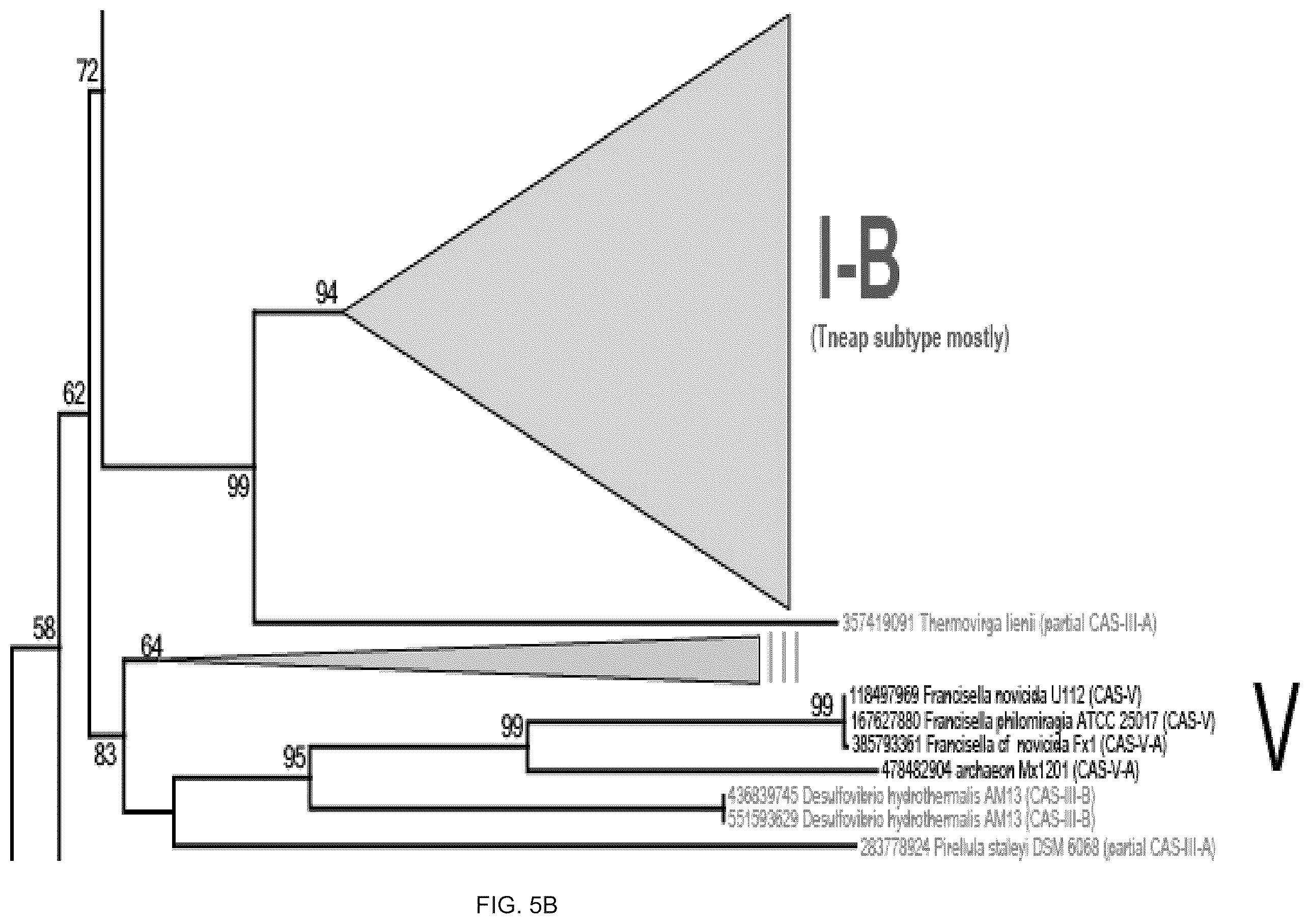 Patent US12410468 Figure 9 – CRISPR enzymes and systems