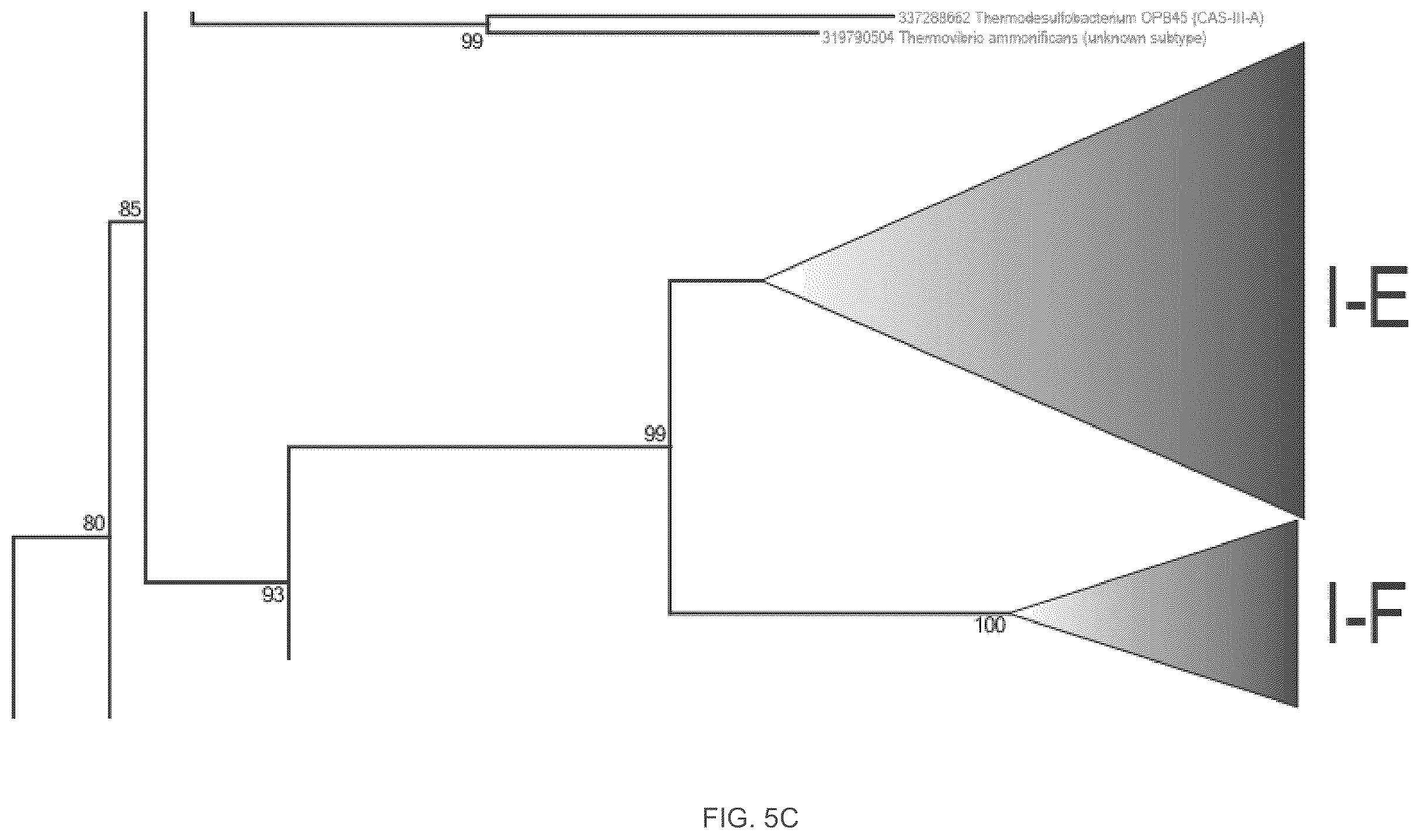 Patent US12410468 Figure 10 – CRISPR enzymes and systems