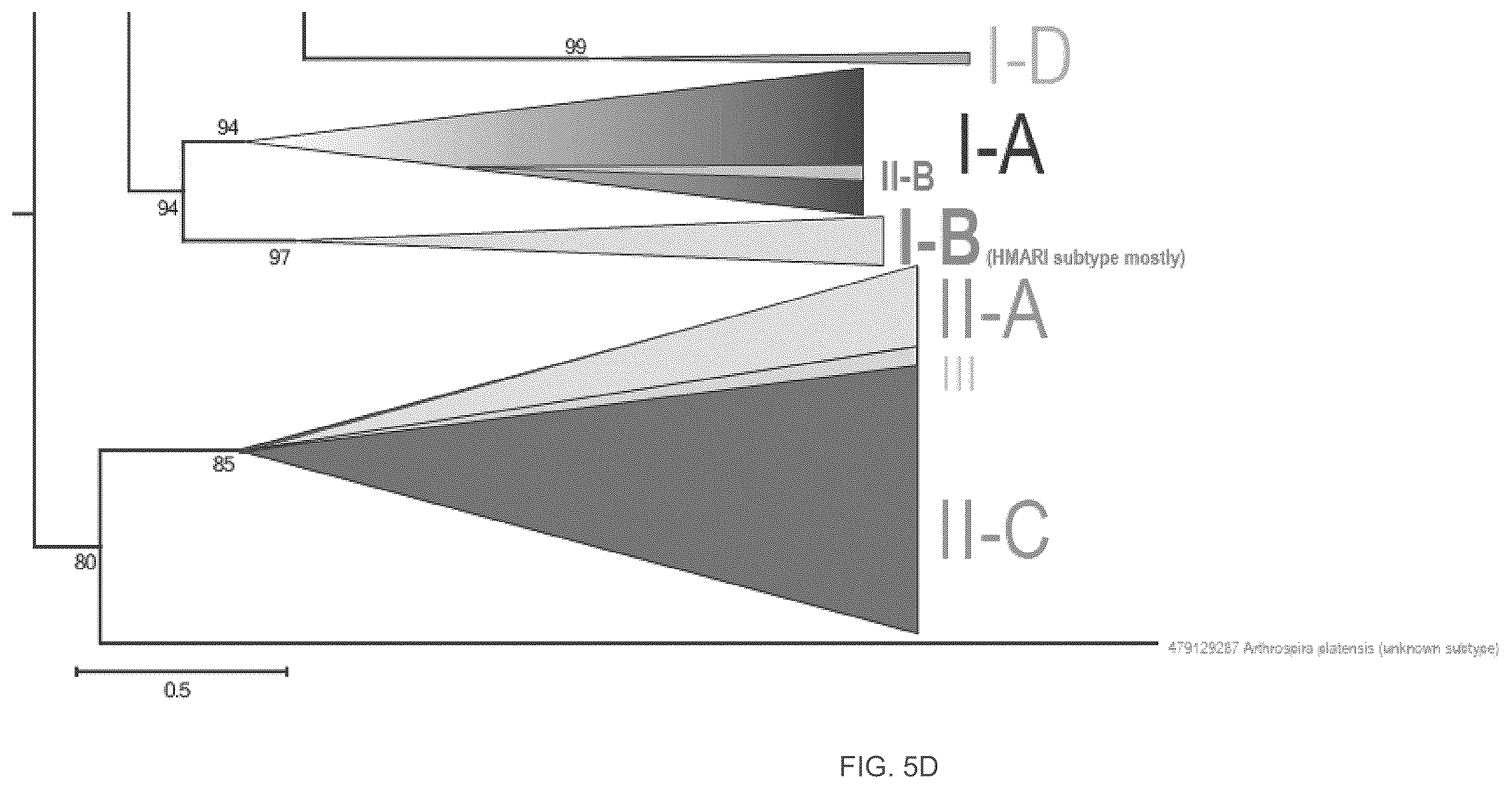 Patent US12410468 Figure 11 – CRISPR enzymes and systems