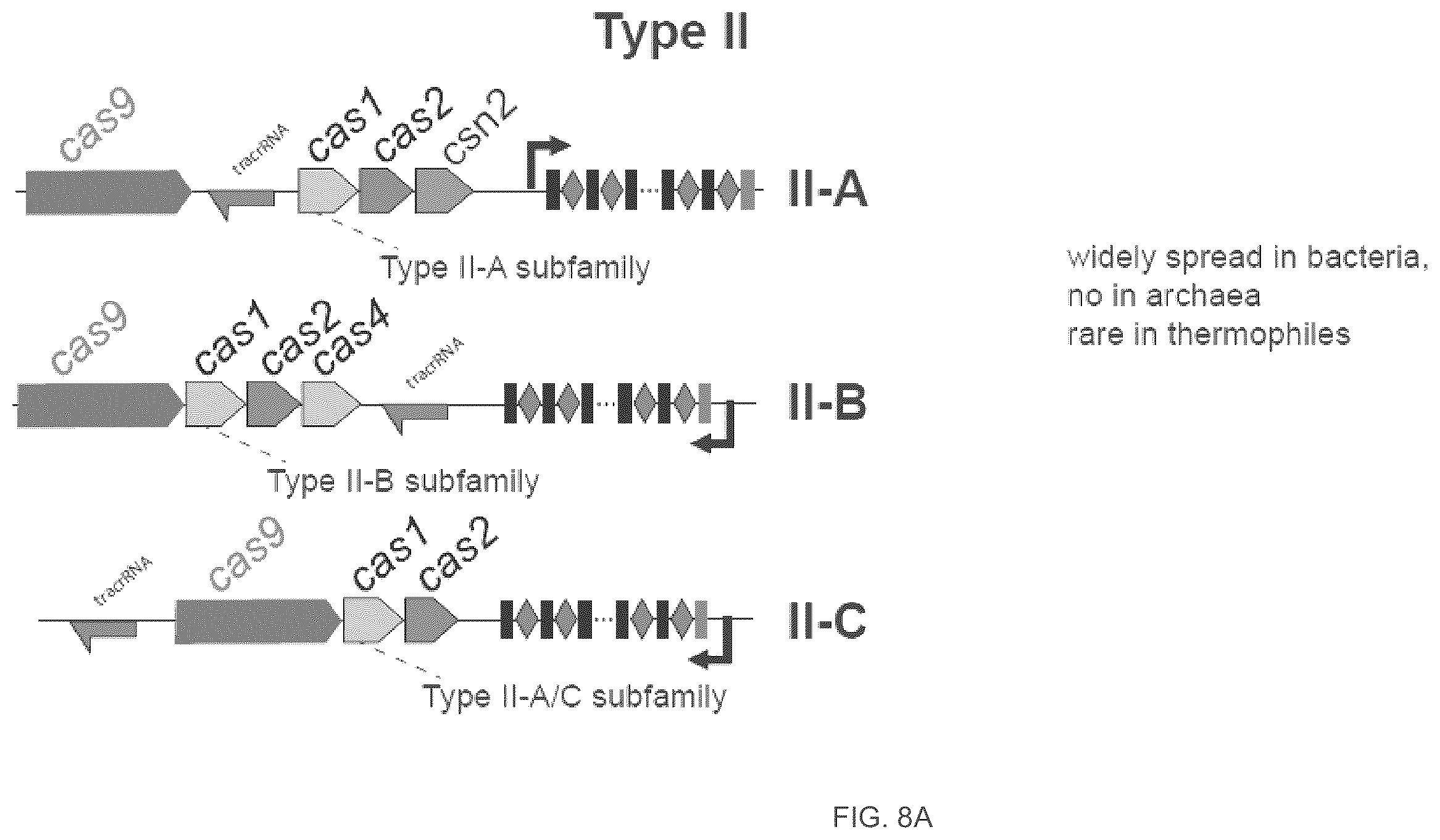 Patent US12410468 Figure 14 – CRISPR enzymes and systems