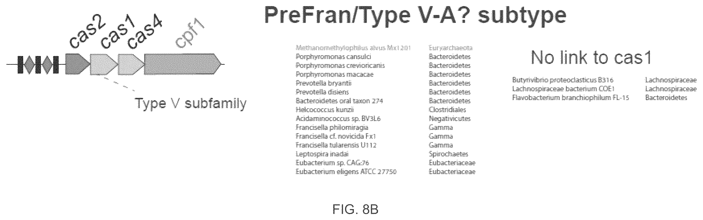 Patent US12410468 Figure 15 – CRISPR enzymes and systems