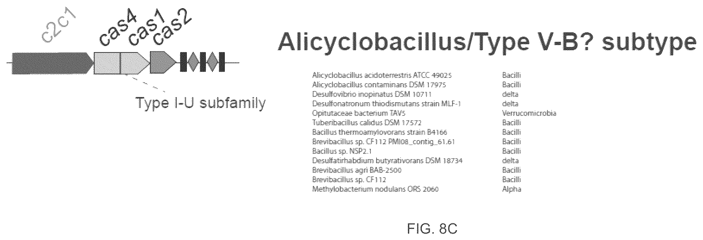 Patent US12410468 Figure 16 – CRISPR enzymes and systems