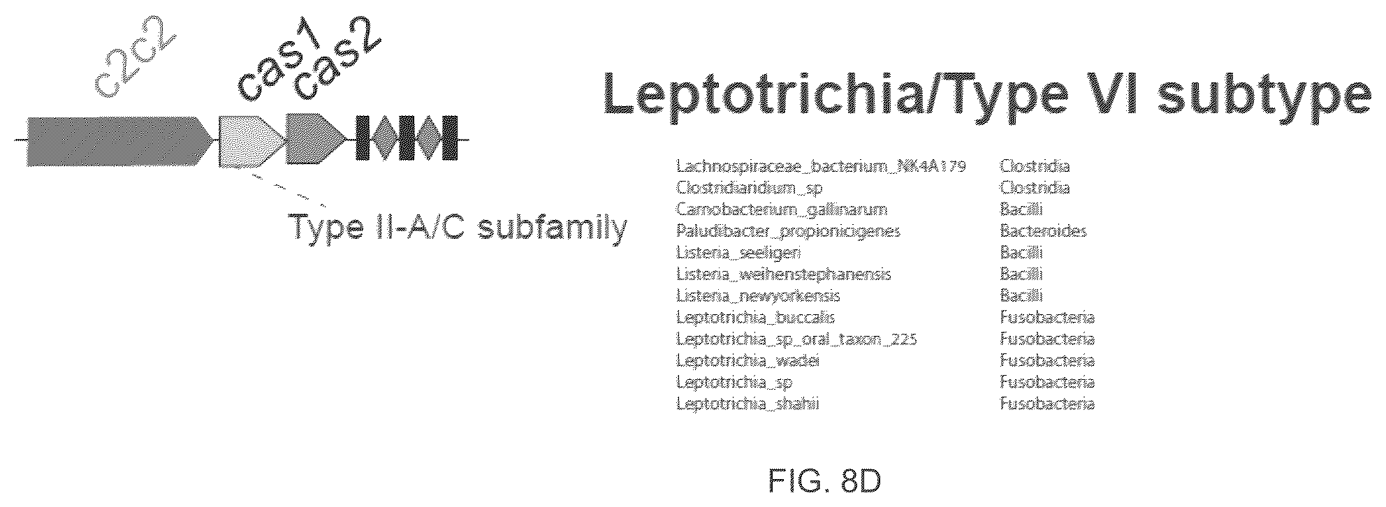 Patent US12410468 Figure 17 – CRISPR enzymes and systems
