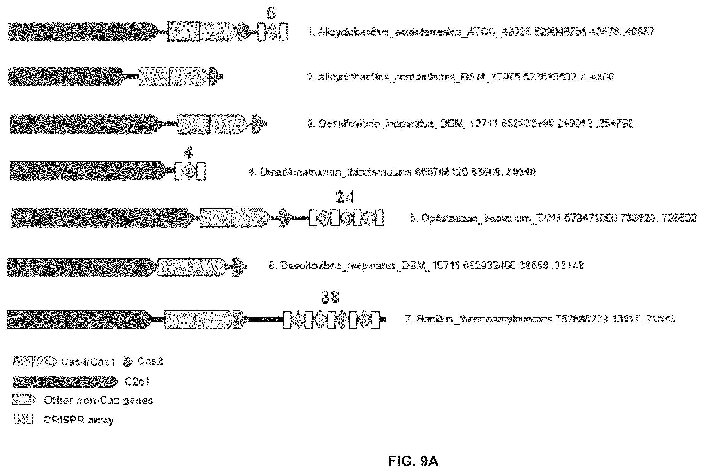 Patent US12410468 Figure 18 – CRISPR enzymes and systems
