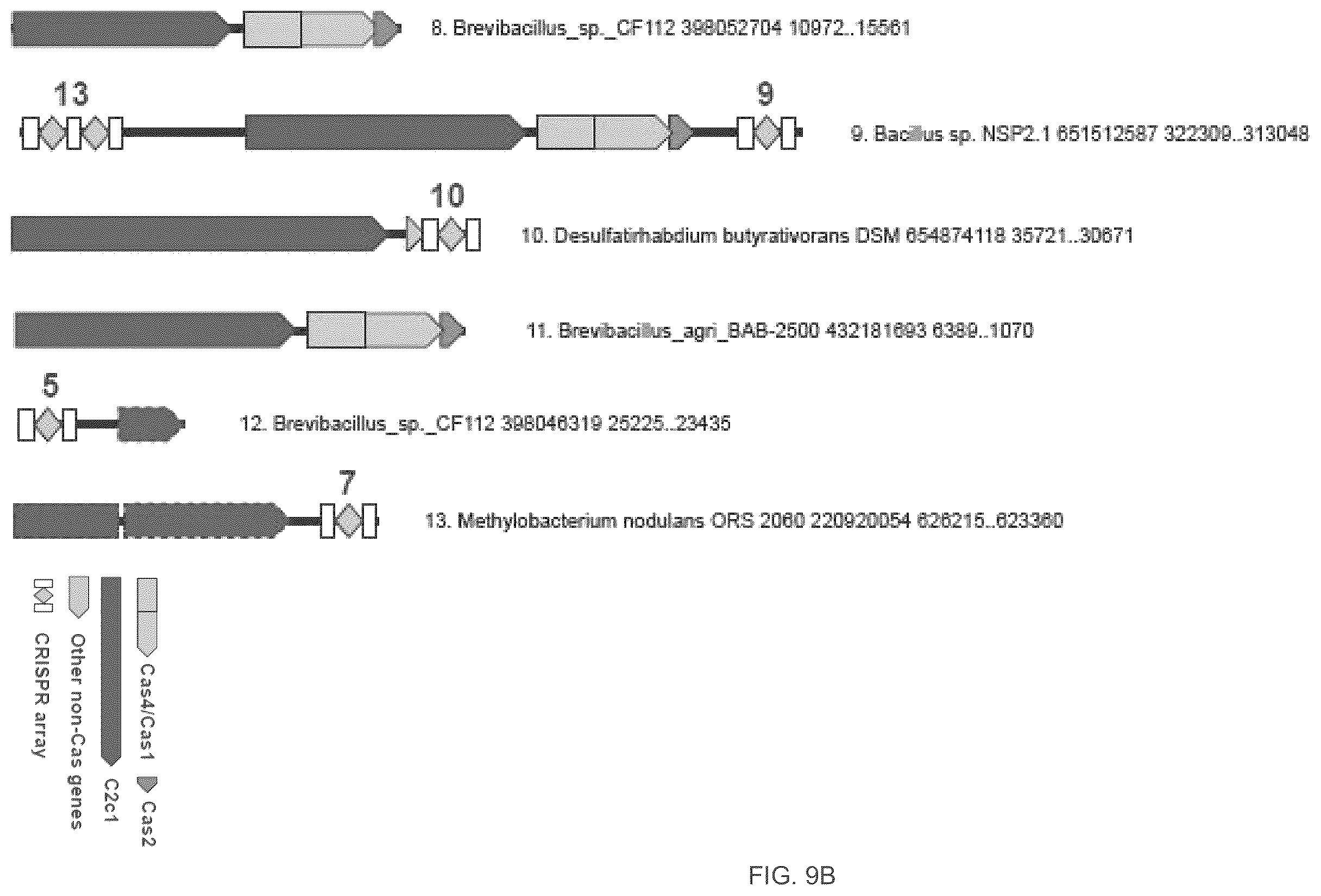 Patent US12410468 Figure 19 – CRISPR enzymes and systems