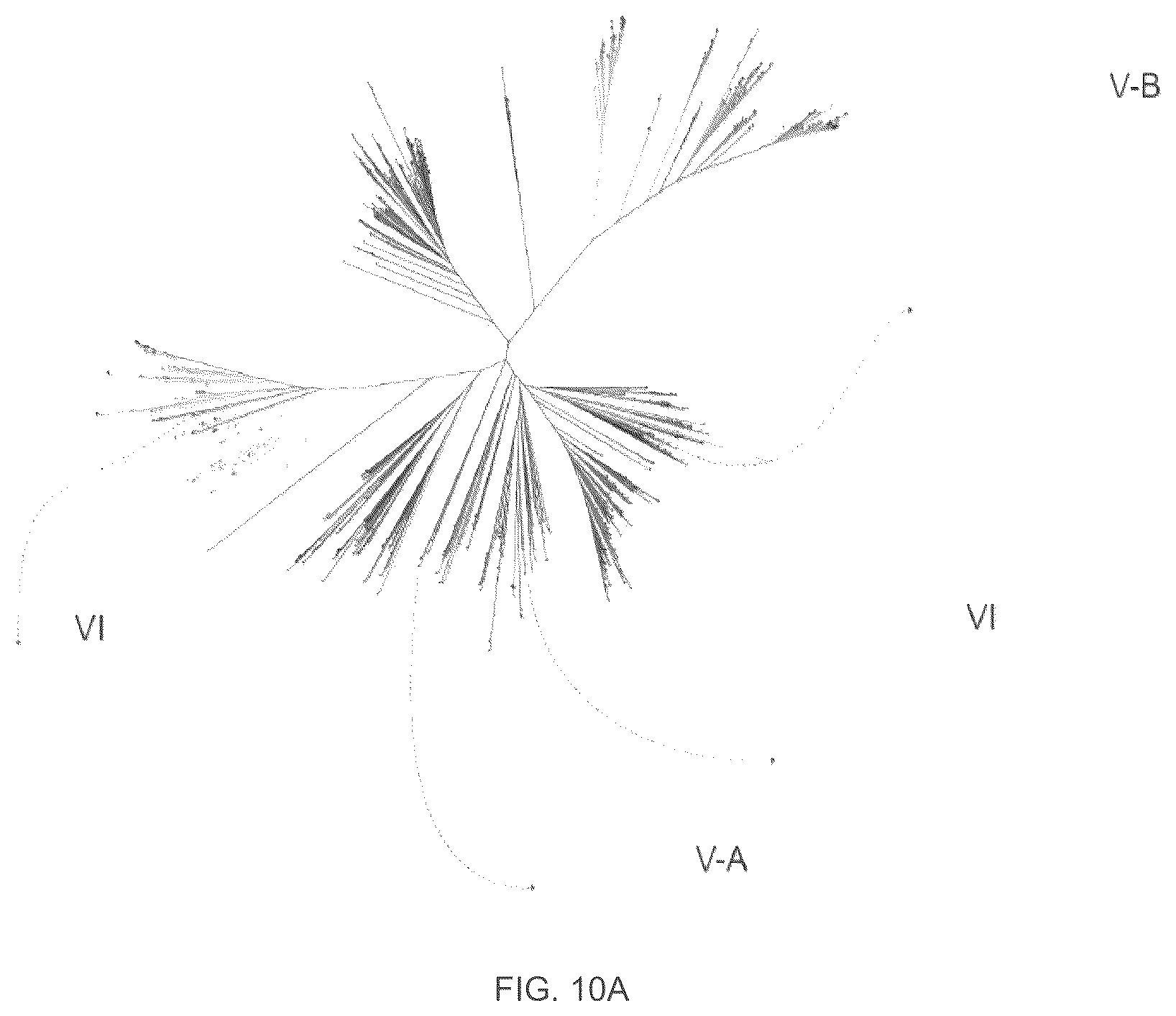 Patent US12410468 Figure 20 – CRISPR enzymes and systems