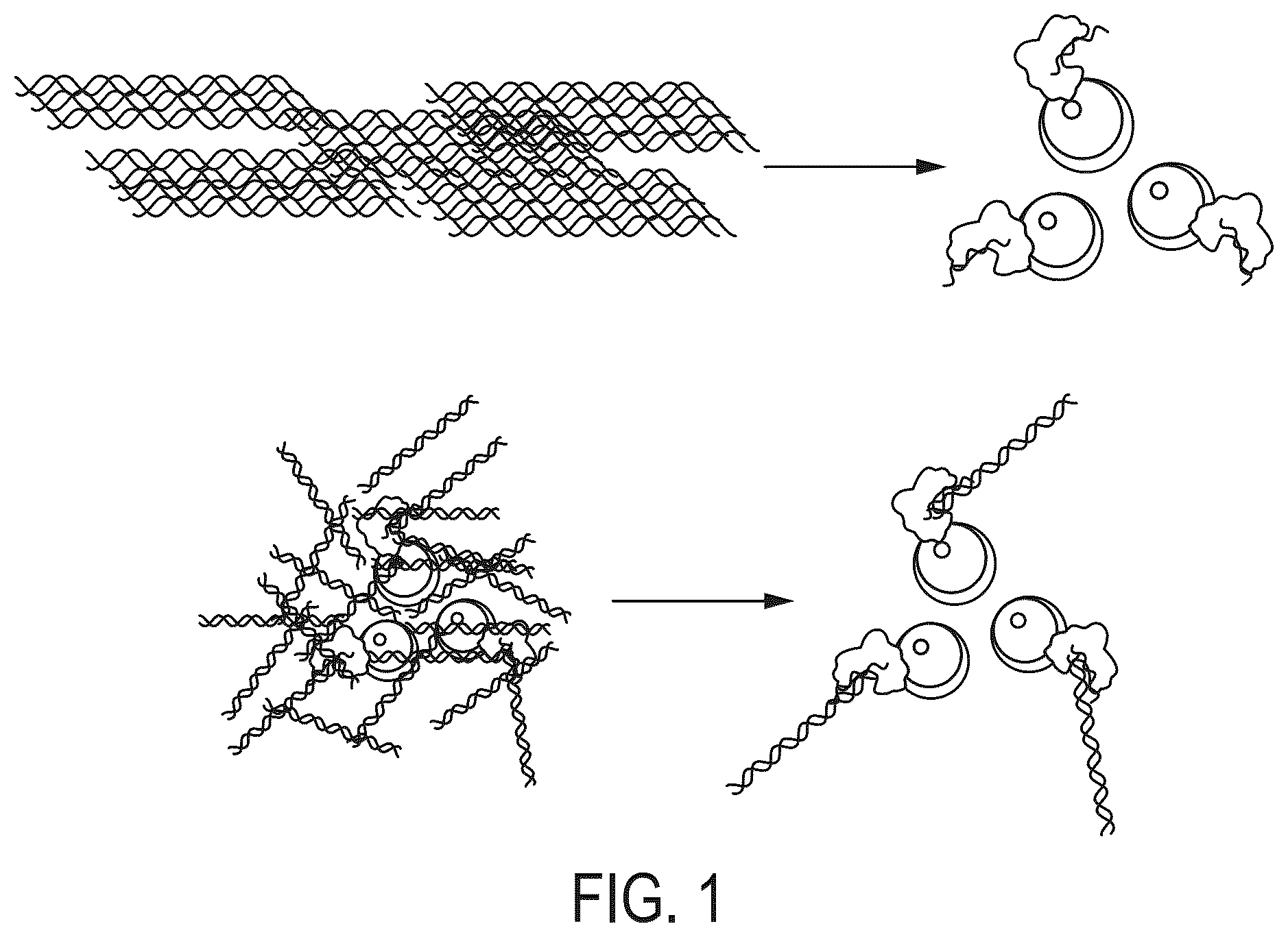 Patent US12410469 Figure 1 – Methods and compositions for sequencing library normalization
