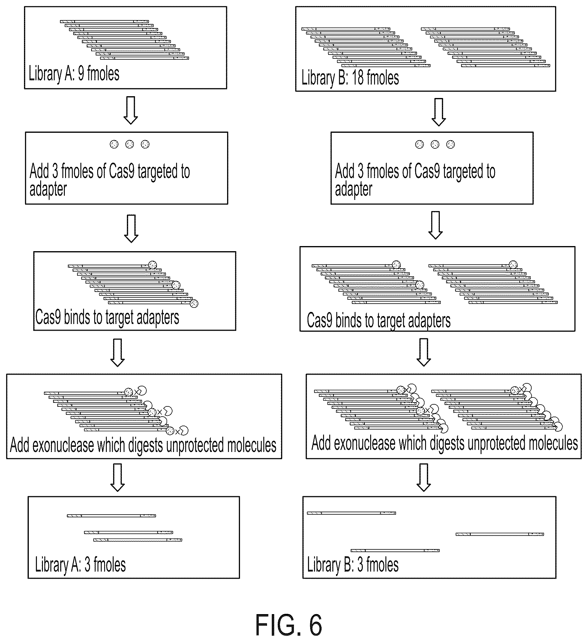 Patent US12410469 Figure 5 – Methods and compositions for sequencing library normalization