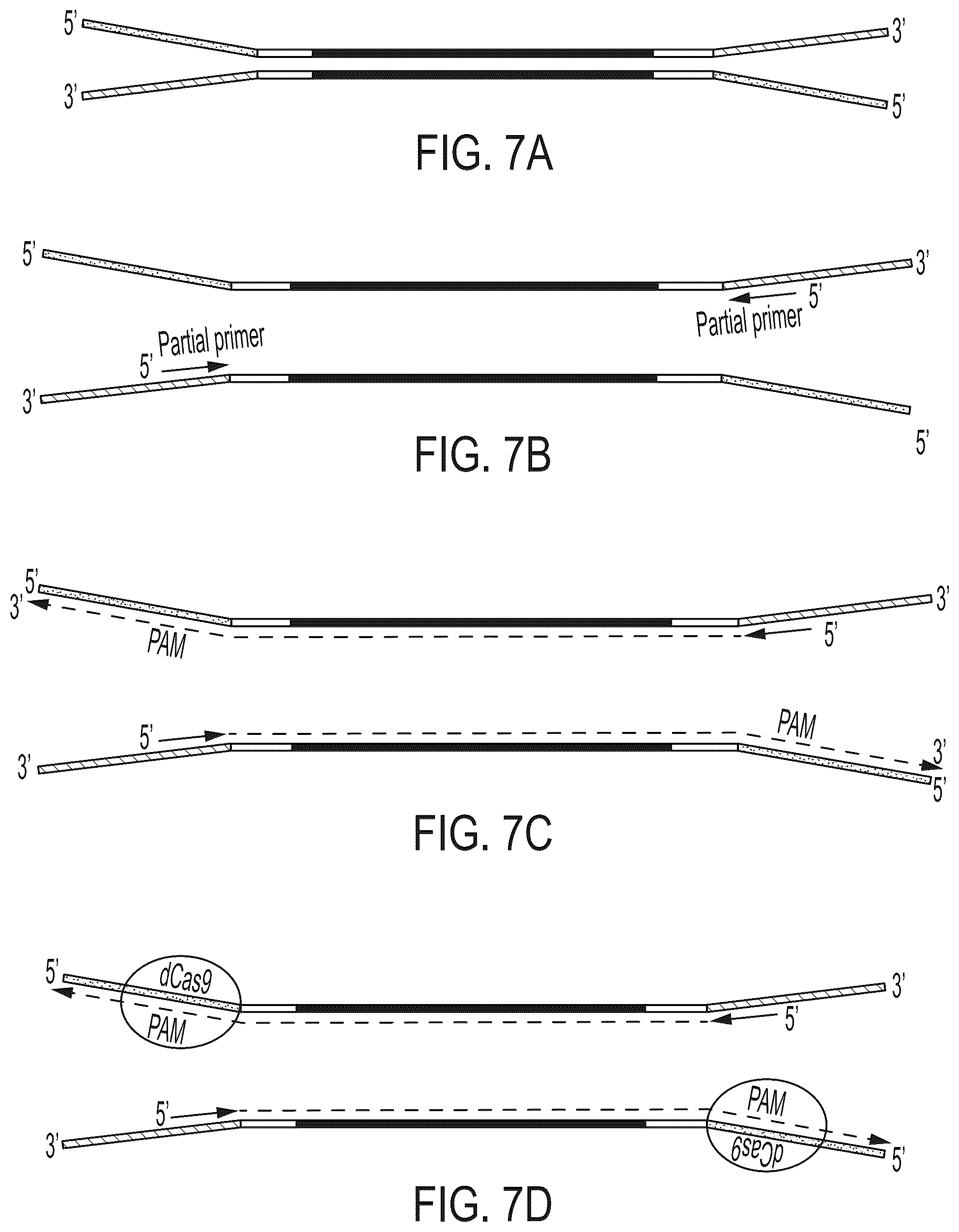 Patent US12410469 Figure 6 – Methods and compositions for sequencing library normalization