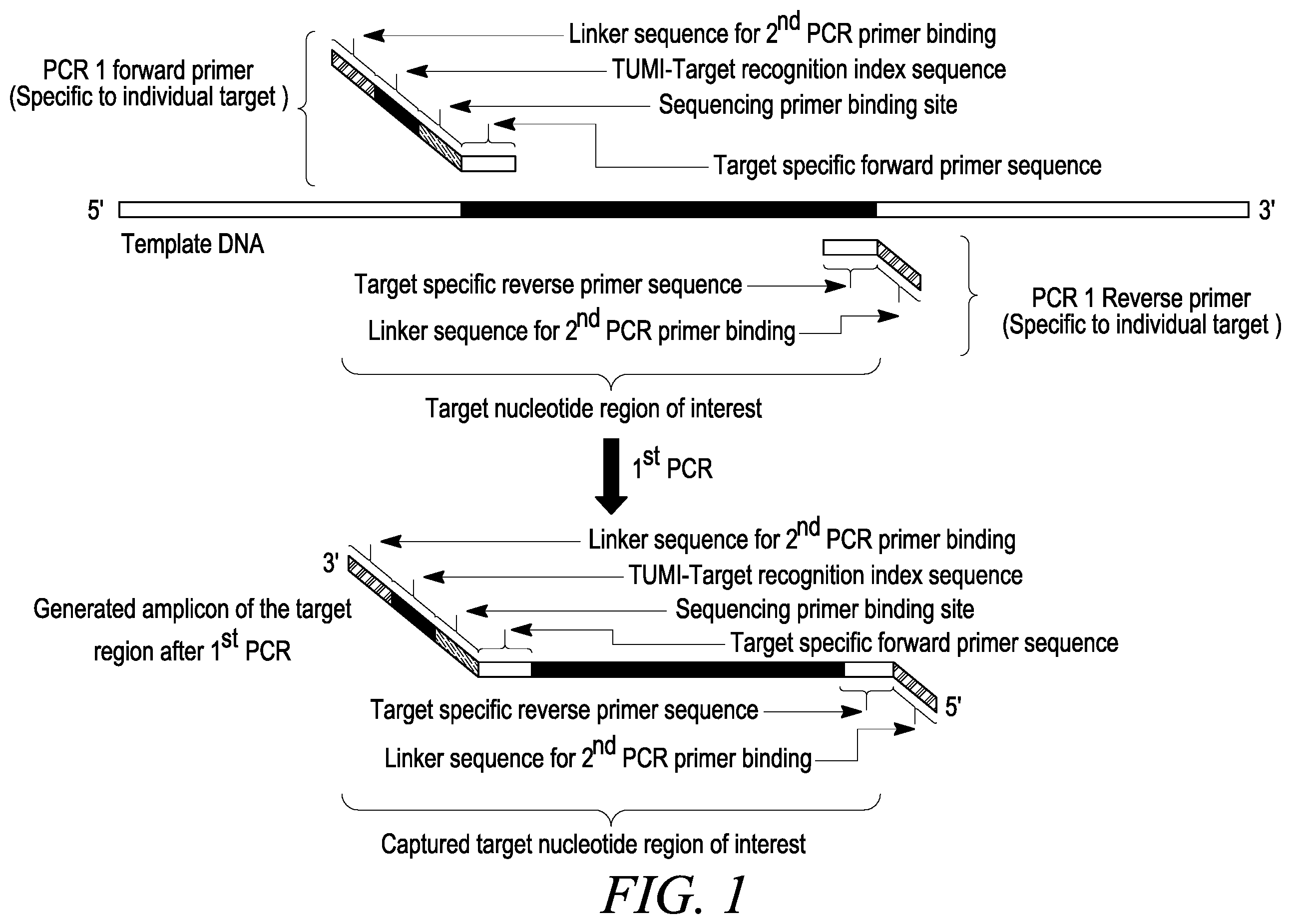 Patent US12410470 Figure 1 – Detection of sequences uniquely associated with a DNA target region