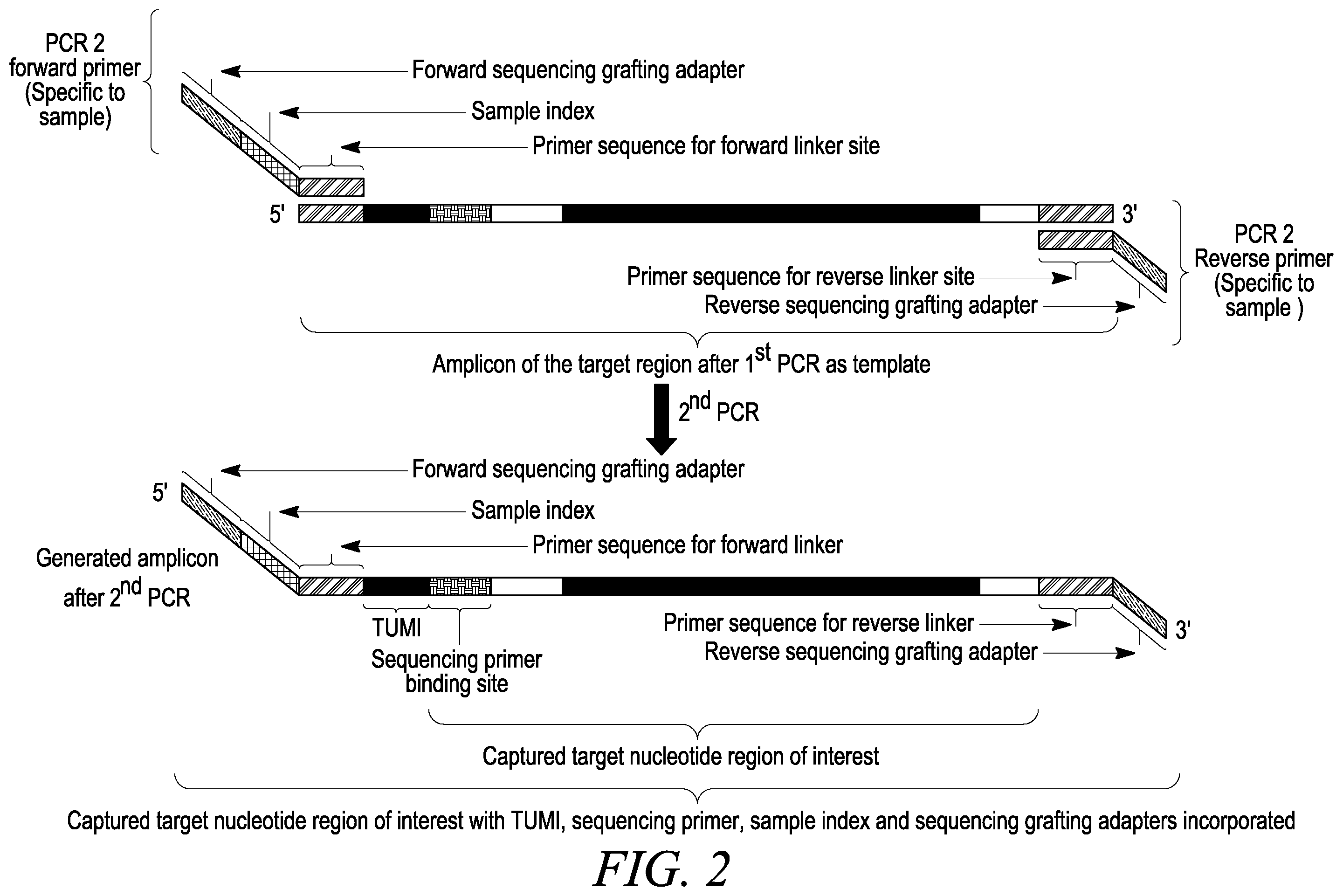 Patent US12410470 Figure 2 – Detection of sequences uniquely associated with a DNA target region