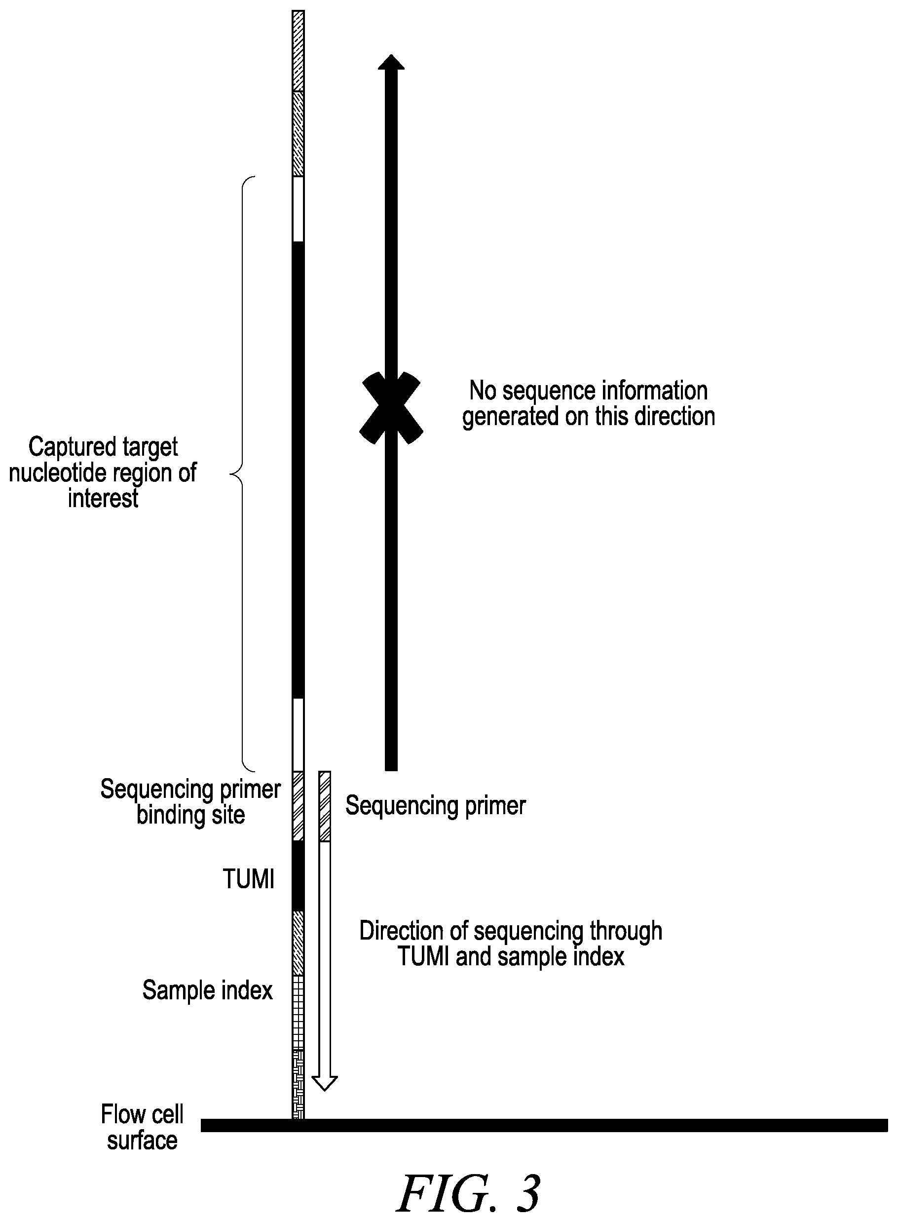 Patent US12410470 Figure 3 – Detection of sequences uniquely associated with a DNA target region