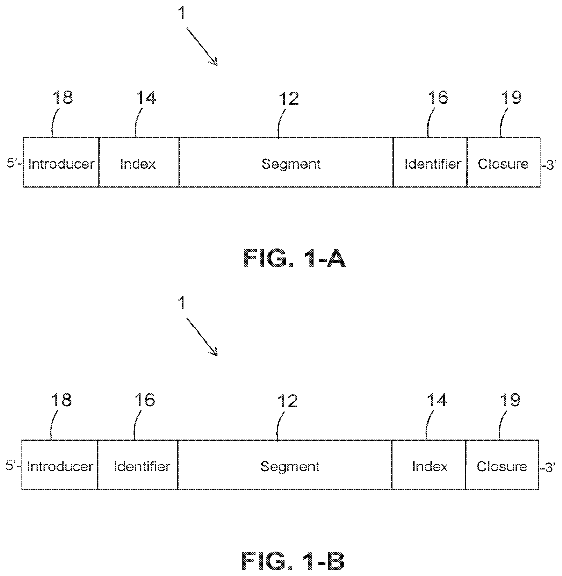 Patent US12410471 Figure 1 – DNA construct for sequencing and method for preparing the same