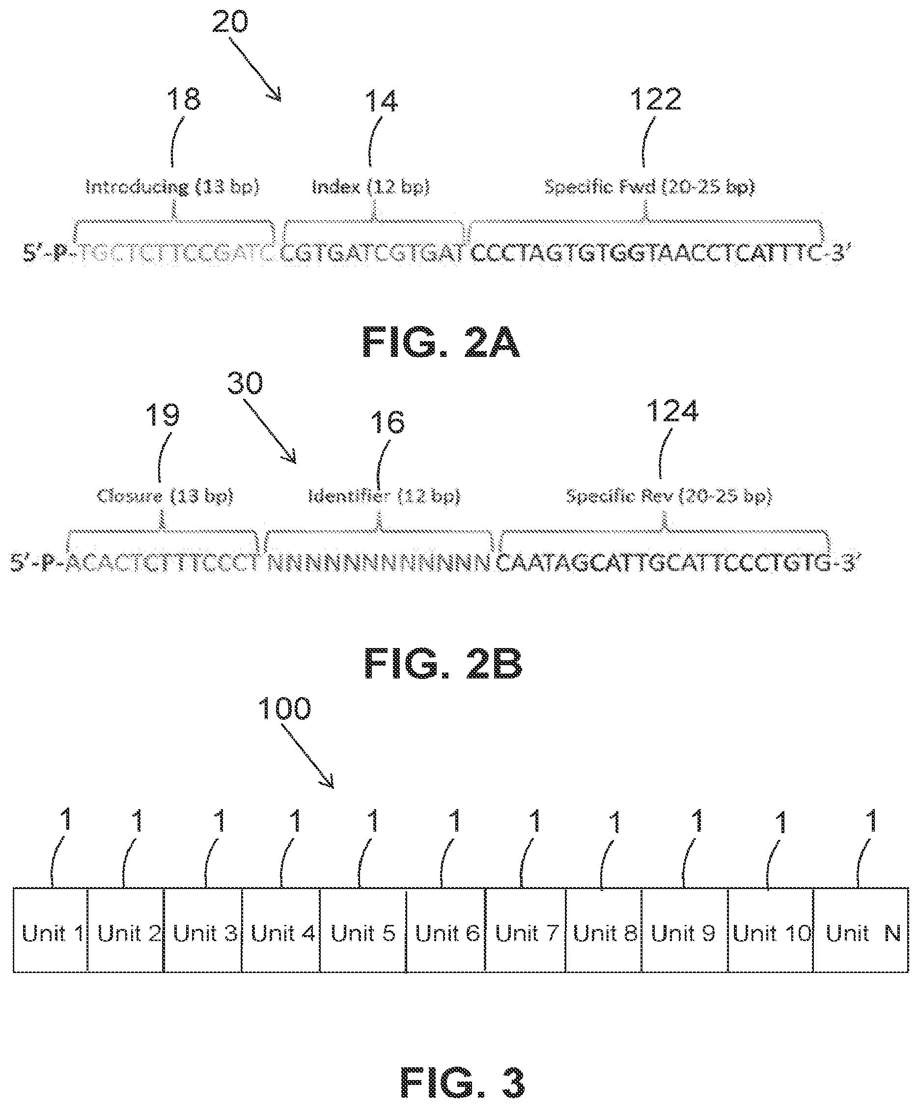 Patent US12410471 Figure 2 – DNA construct for sequencing and method for preparing the same