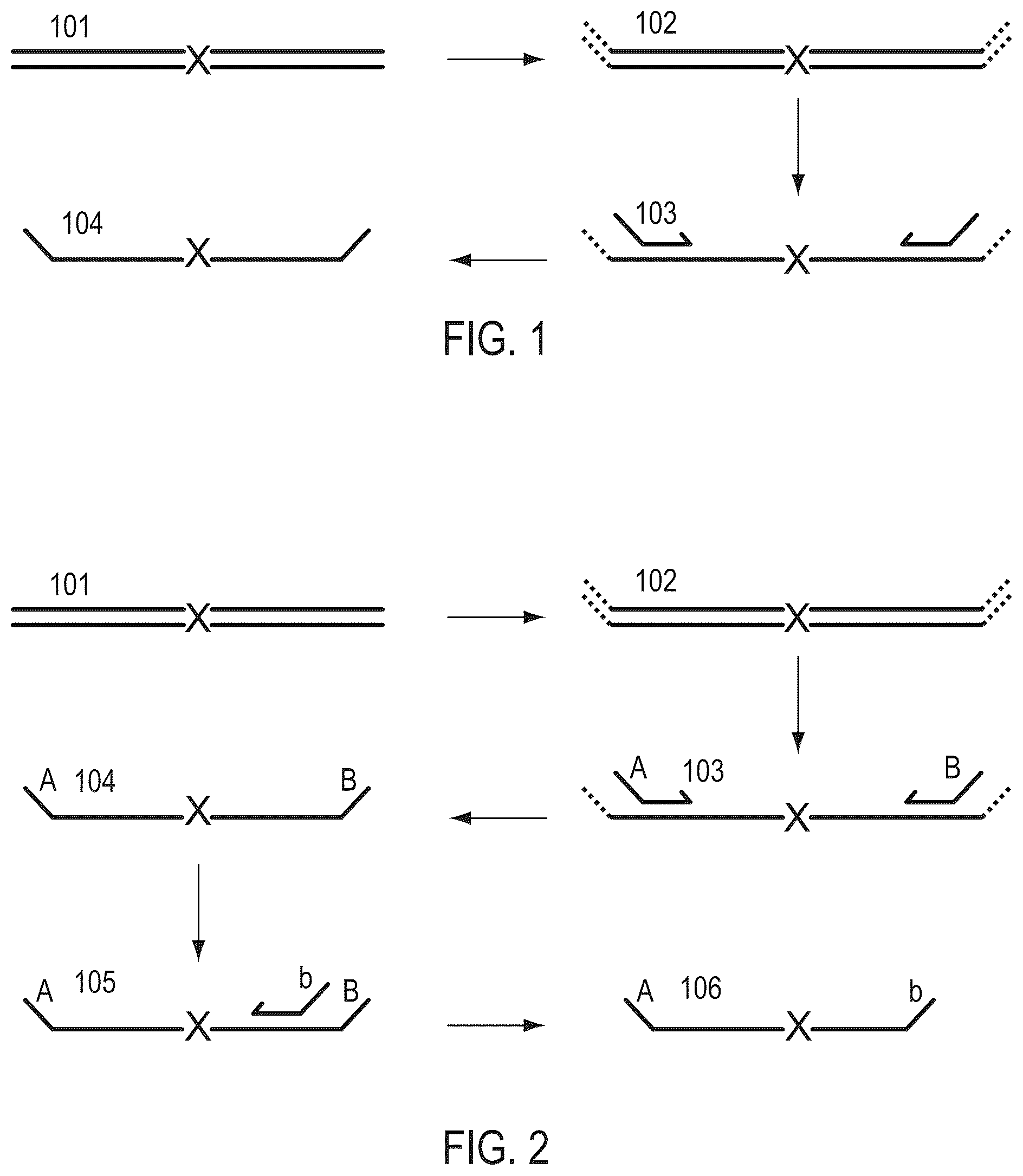 Patent US12410476 Figure 1 – Methods for simultaneous amplification of target loci
