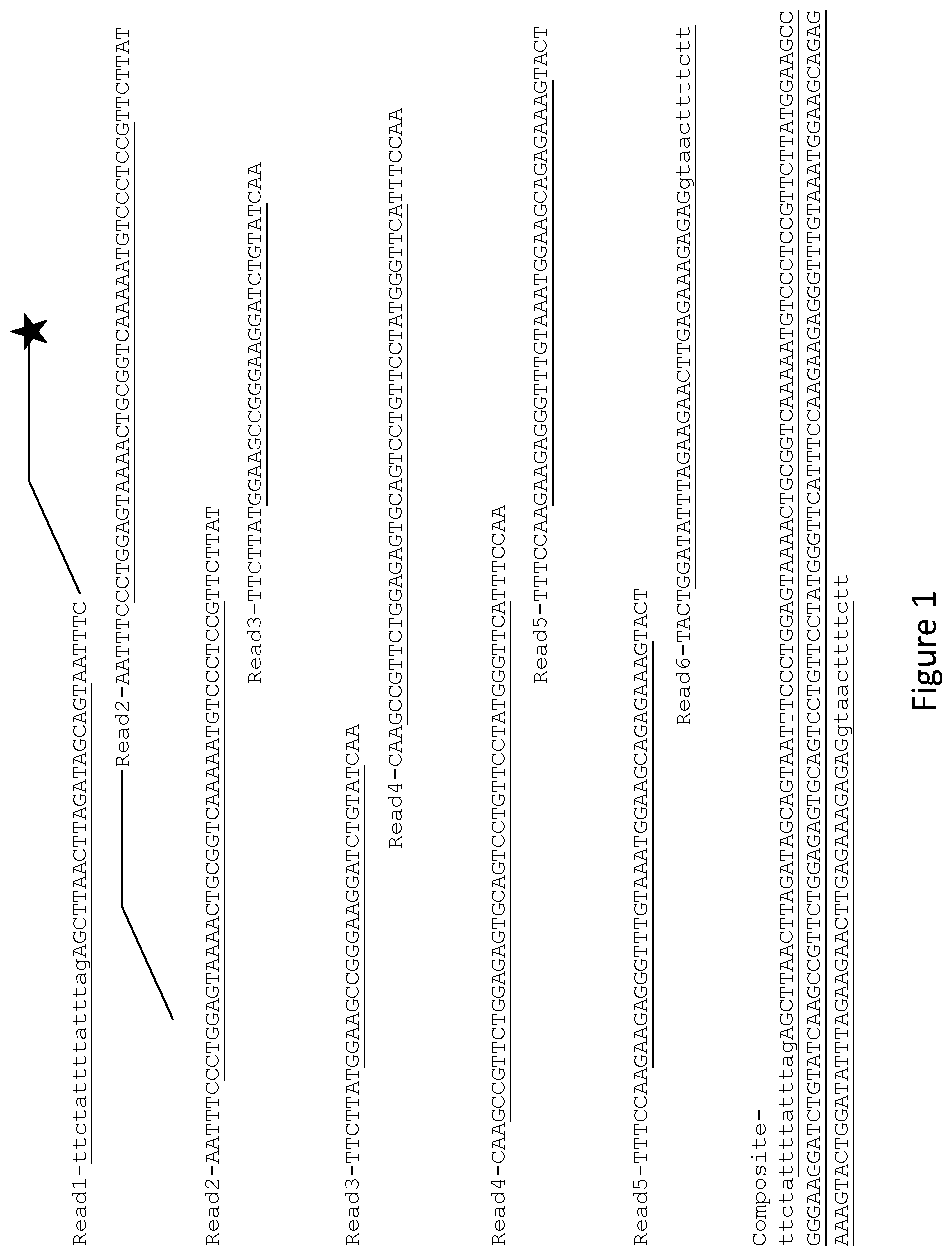 Patent US12410478 — Hereditary cancer genes — Figure 1