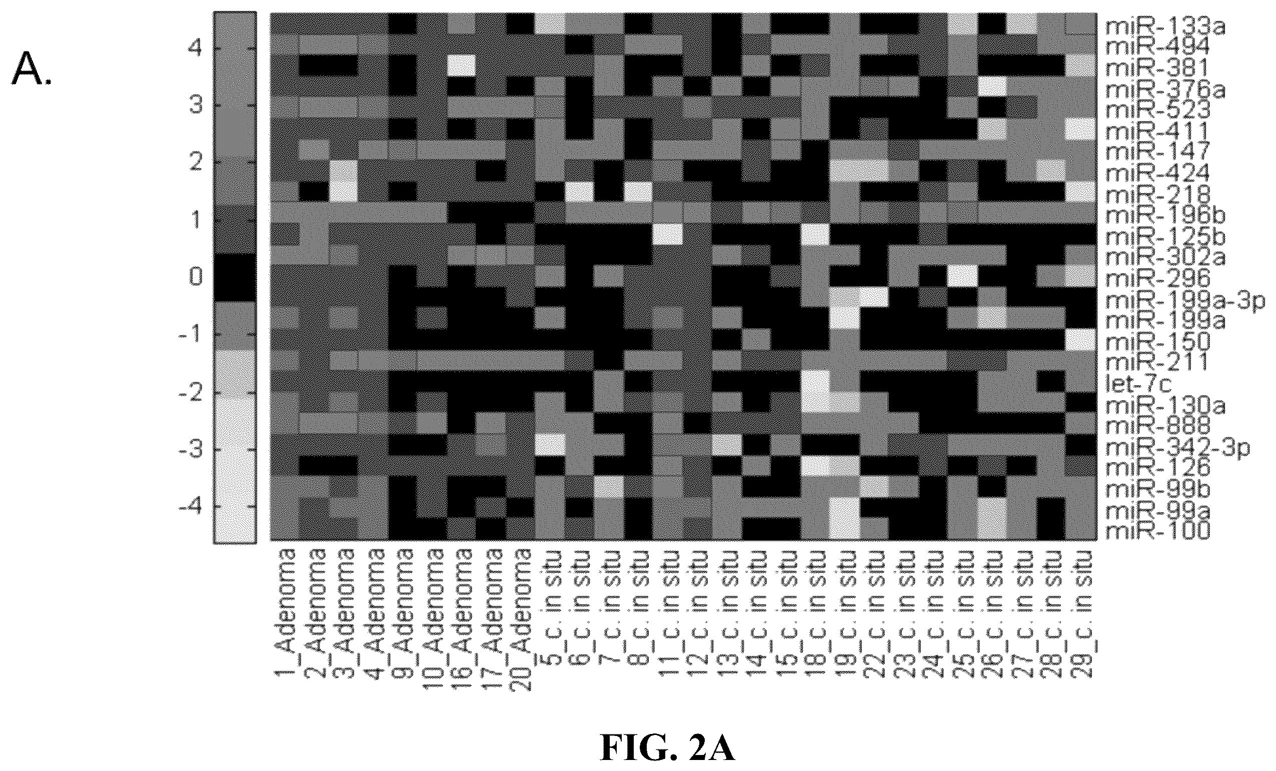 Patent US12410479 Figure 2 – Microrna assay for detection and management of pancreatic cancer precursors