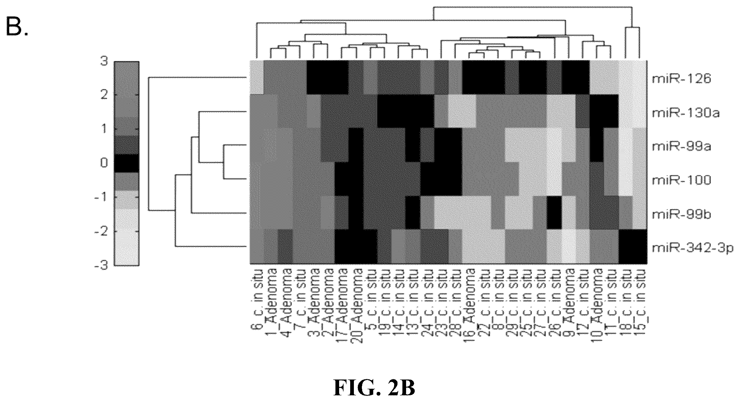 Patent US12410479 Figure 3 – Microrna assay for detection and management of pancreatic cancer precursors