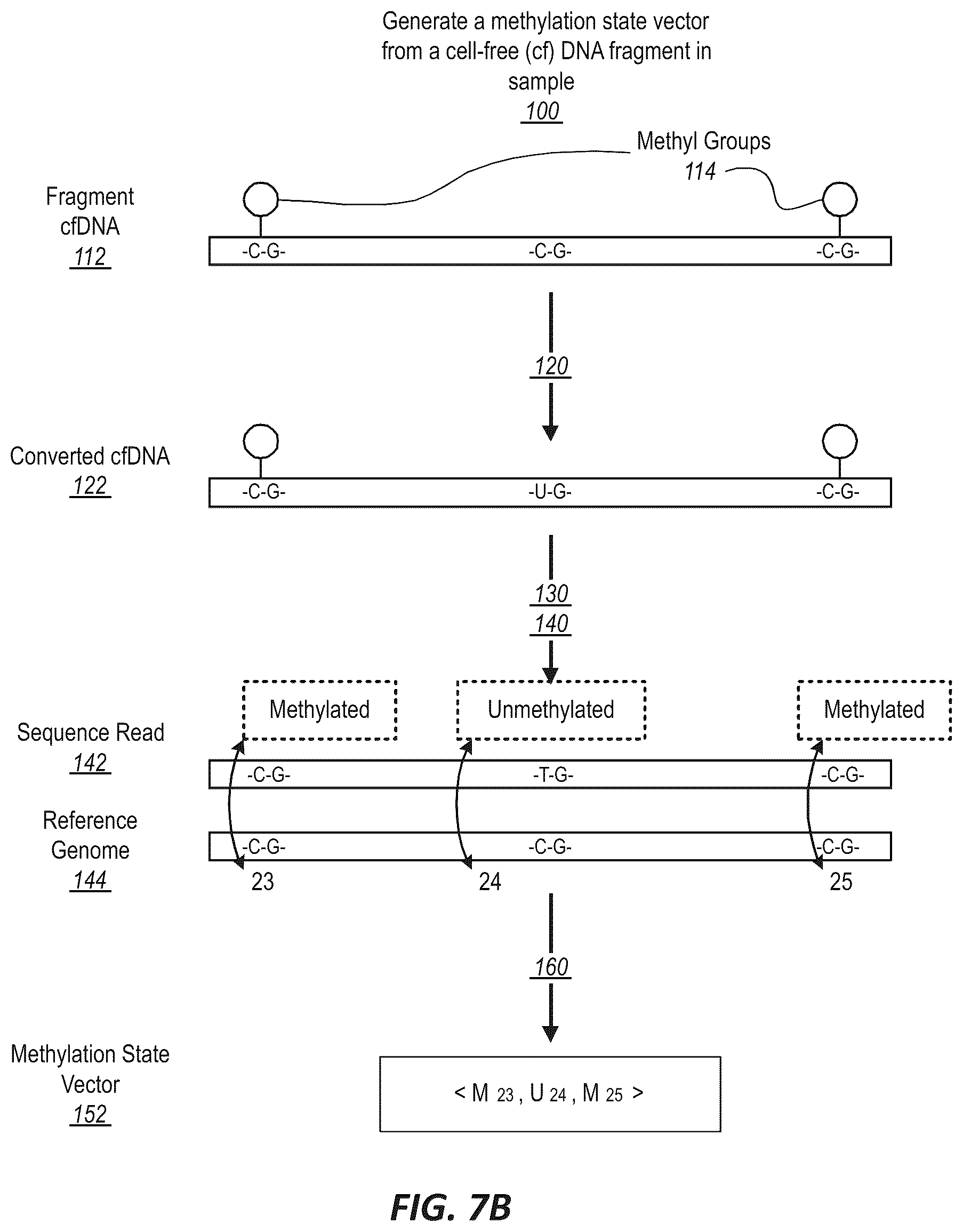 Patent US12410482 Figure 8 – Methylation markers and targeted methylation probe panel