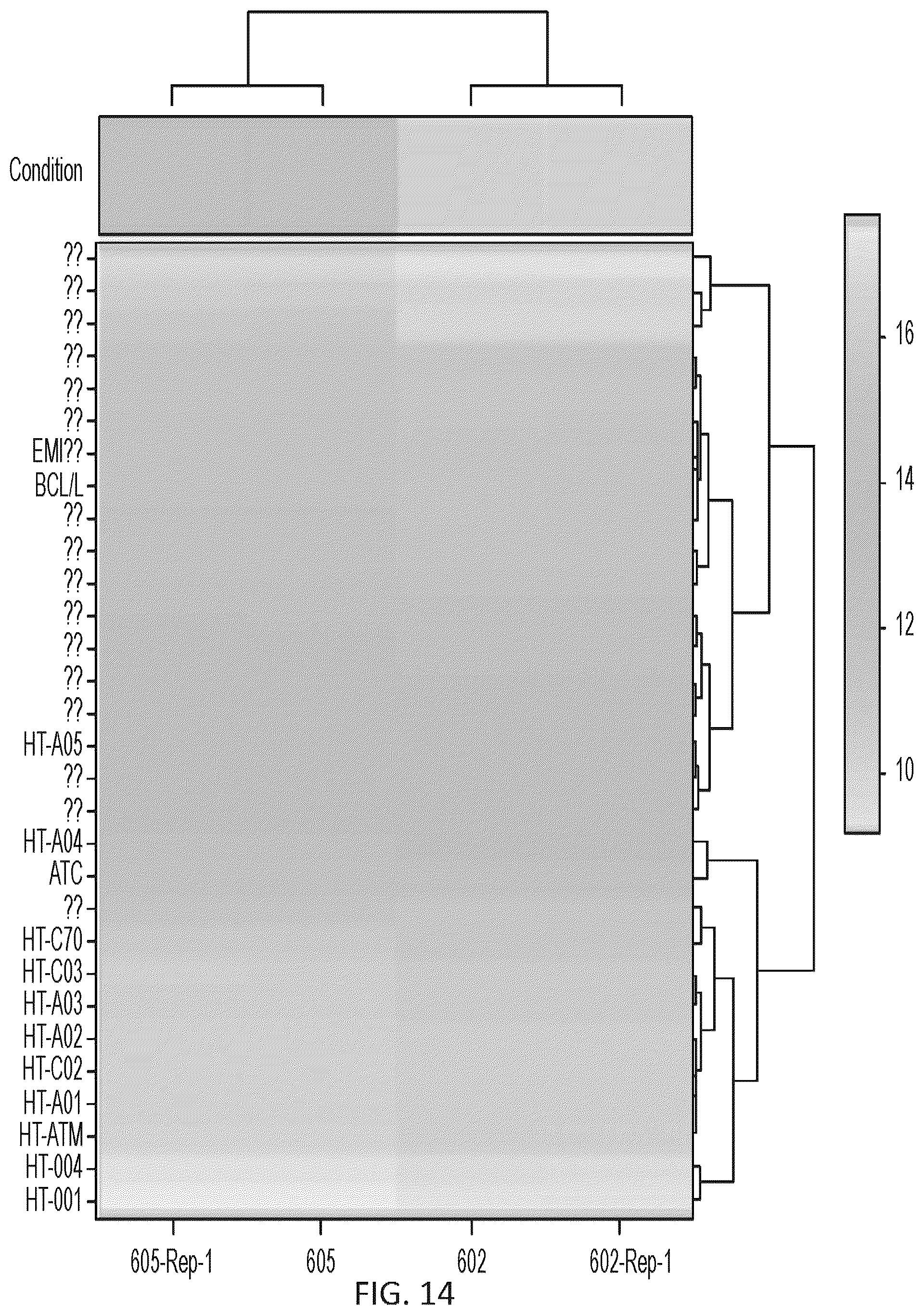 Patent US12410484 Figure 17 – Method for cold plasma induced cell death in breast cancer cells by 8-oxoG modification and degradation of histone mRNA
