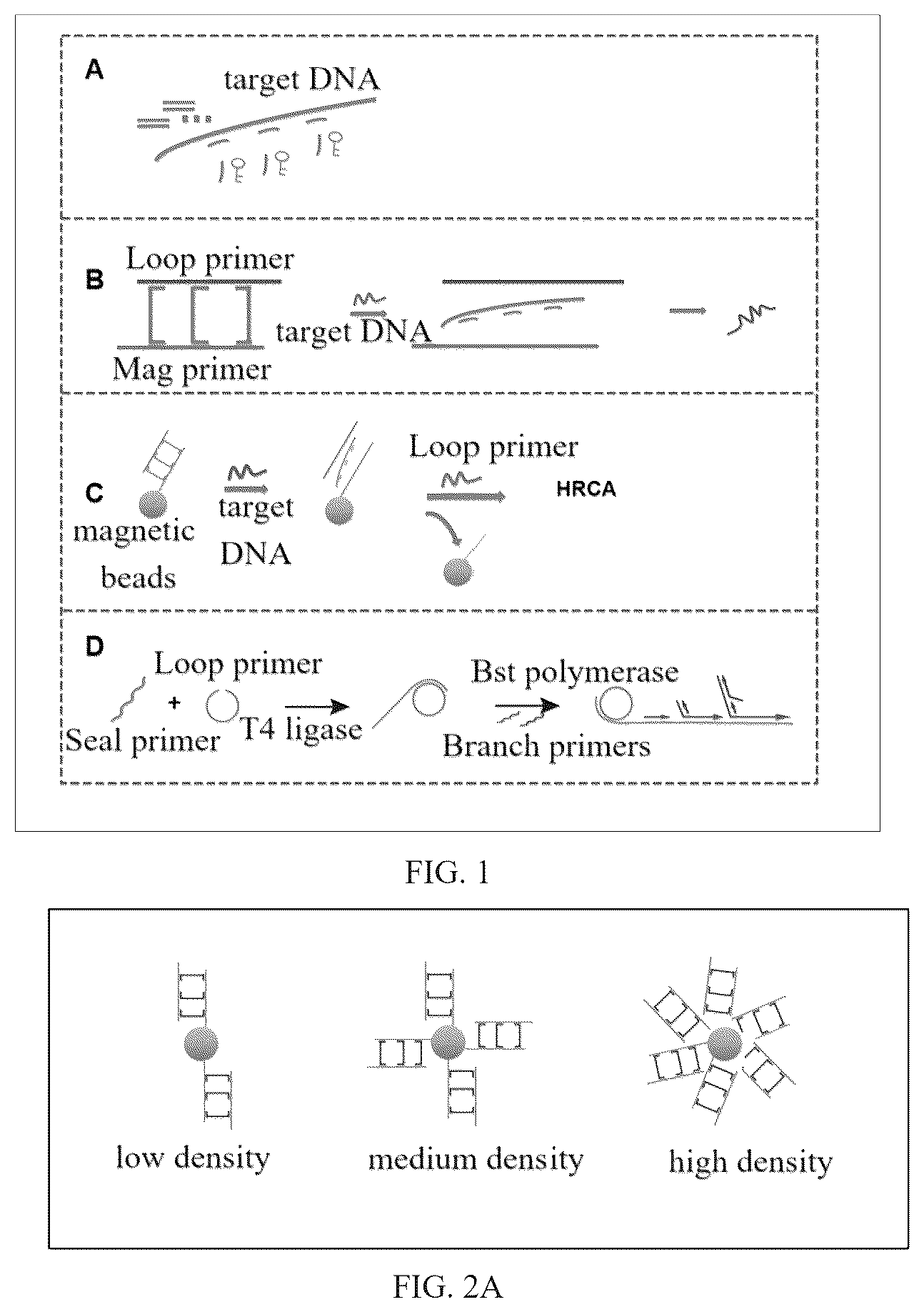 Patent US12410486 Figure 1 – Primer set of mycobacterium tuberculosis based on specific HRCA isothermal amplification and an application thereof