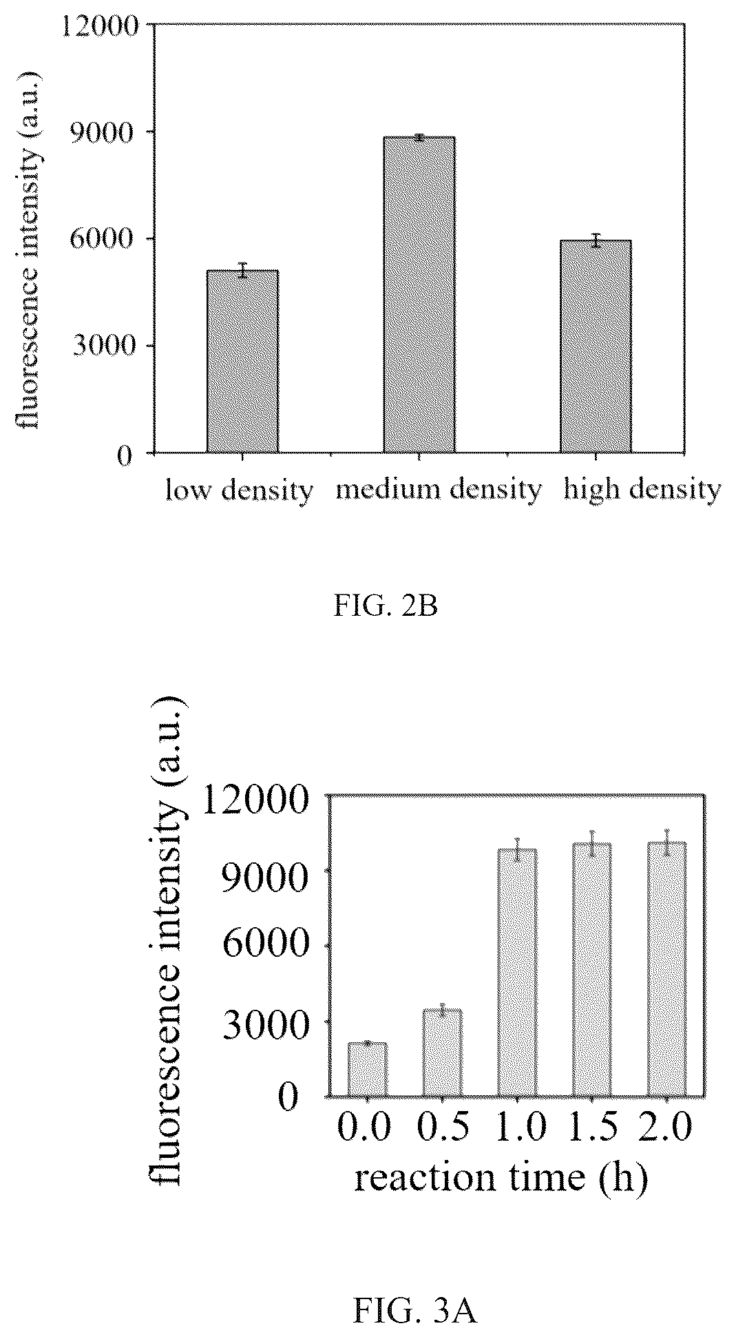 Patent US12410486 Figure 2 – Primer set of mycobacterium tuberculosis based on specific HRCA isothermal amplification and an application thereof