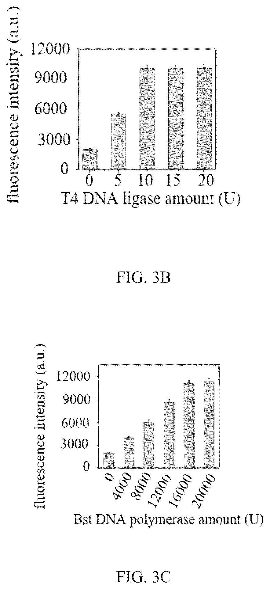 Patent US12410486 Figure 3 – Primer set of mycobacterium tuberculosis based on specific HRCA isothermal amplification and an application thereof