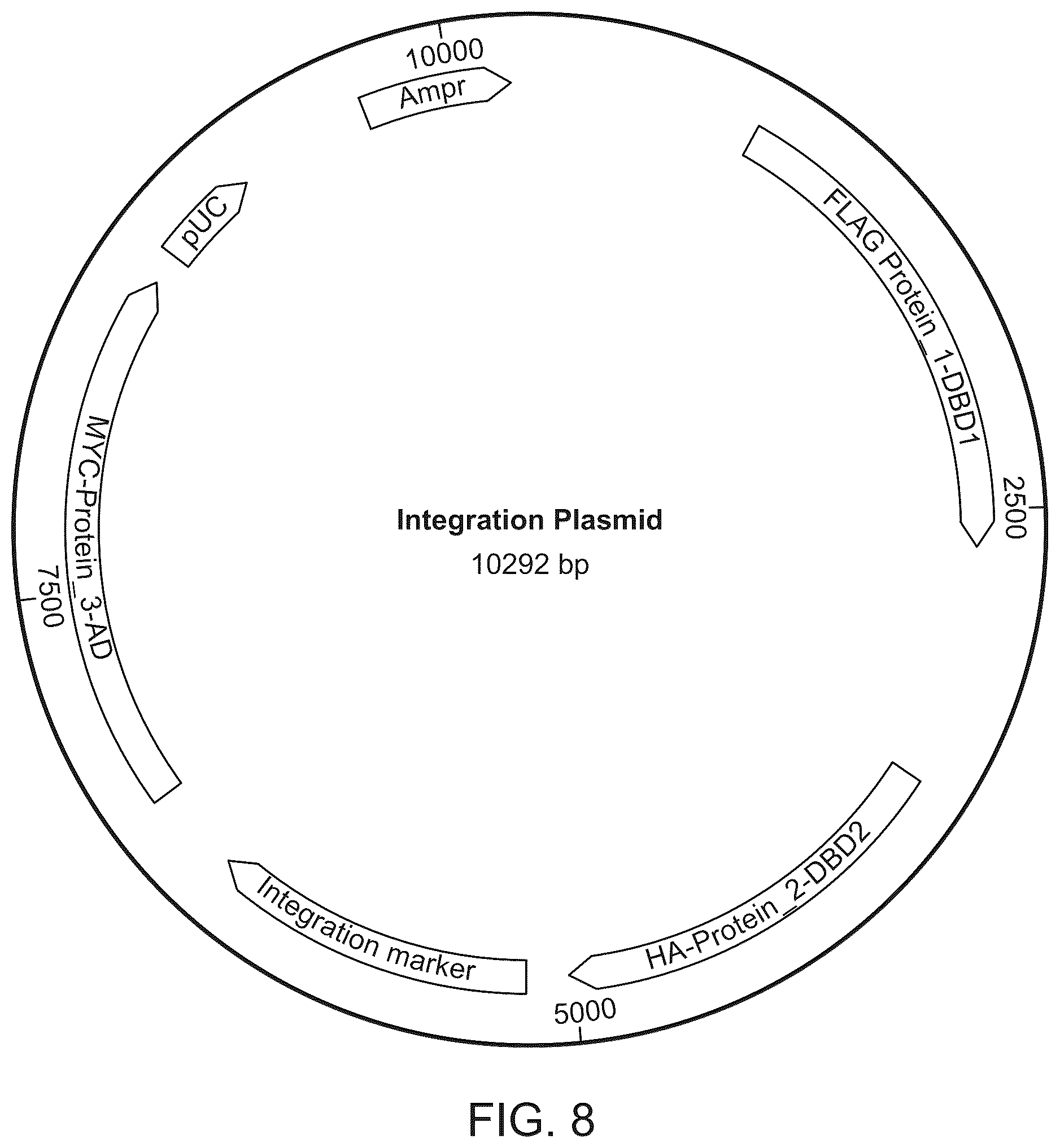 Patent US12410487 Figure 8 – Selective modulation of protein-protein interactions