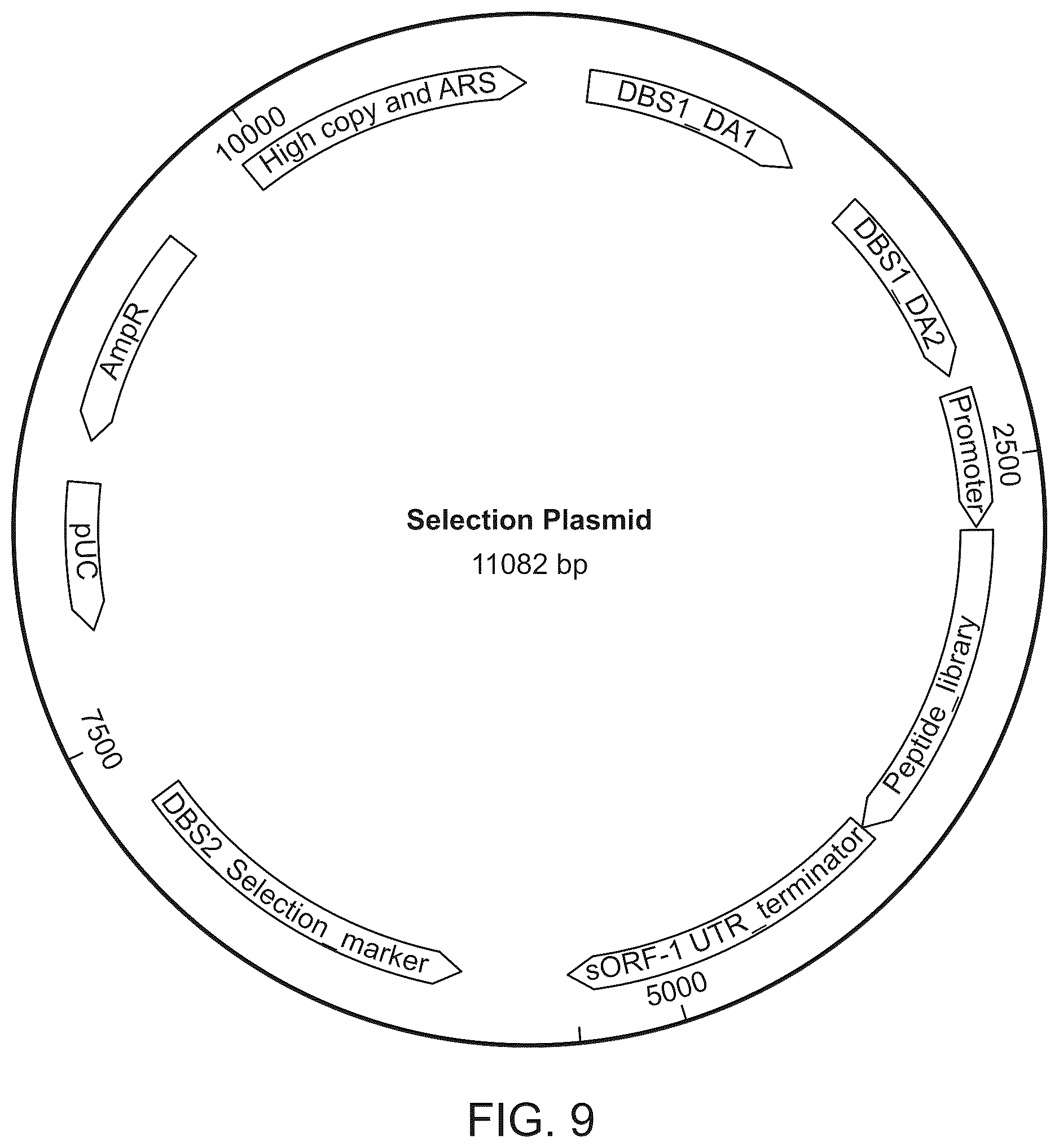 Patent US12410487 Figure 9 – Selective modulation of protein-protein interactions
