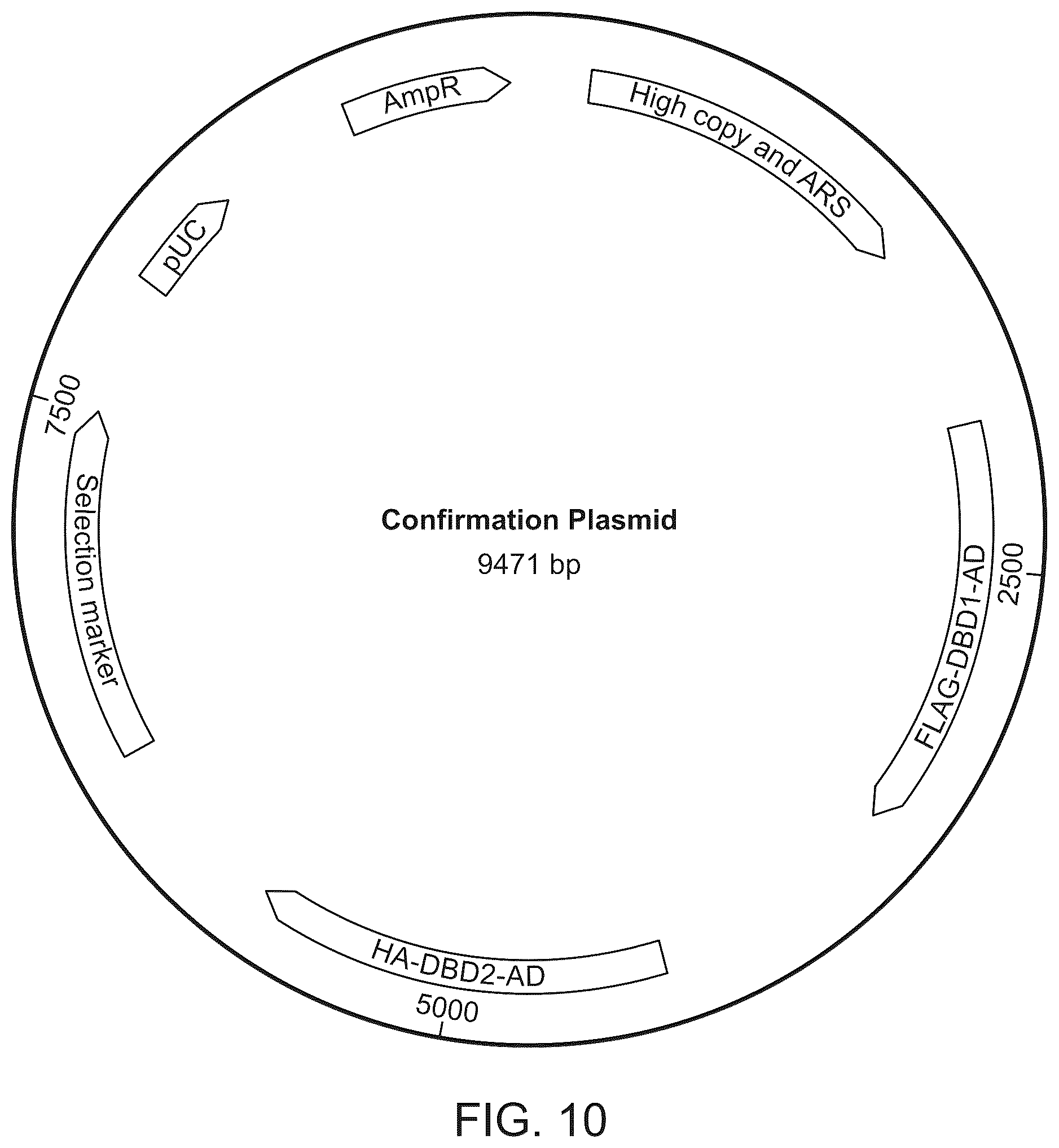 Patent US12410487 Figure 10 – Selective modulation of protein-protein interactions