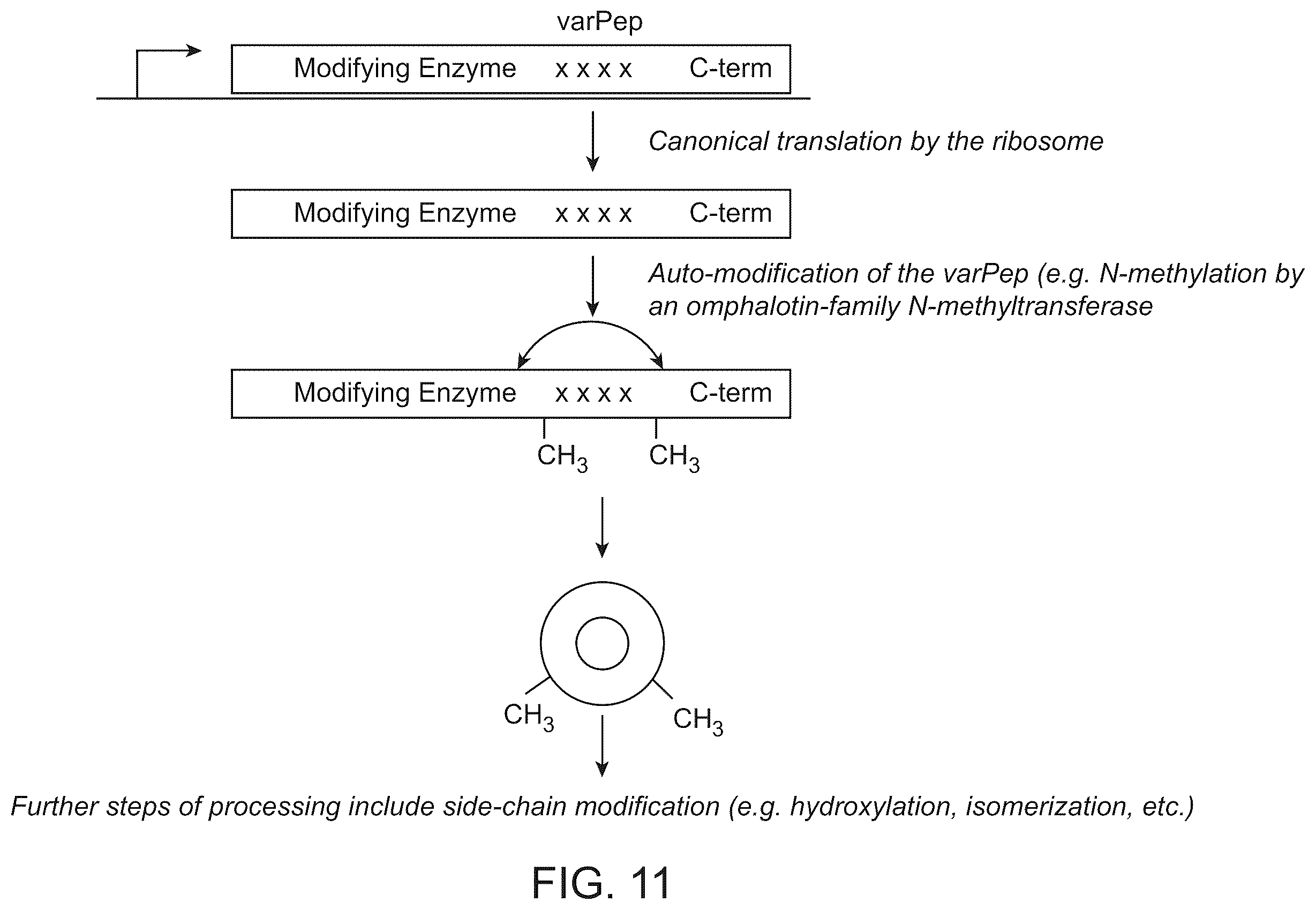 Patent US12410487 Figure 11 – Selective modulation of protein-protein interactions
